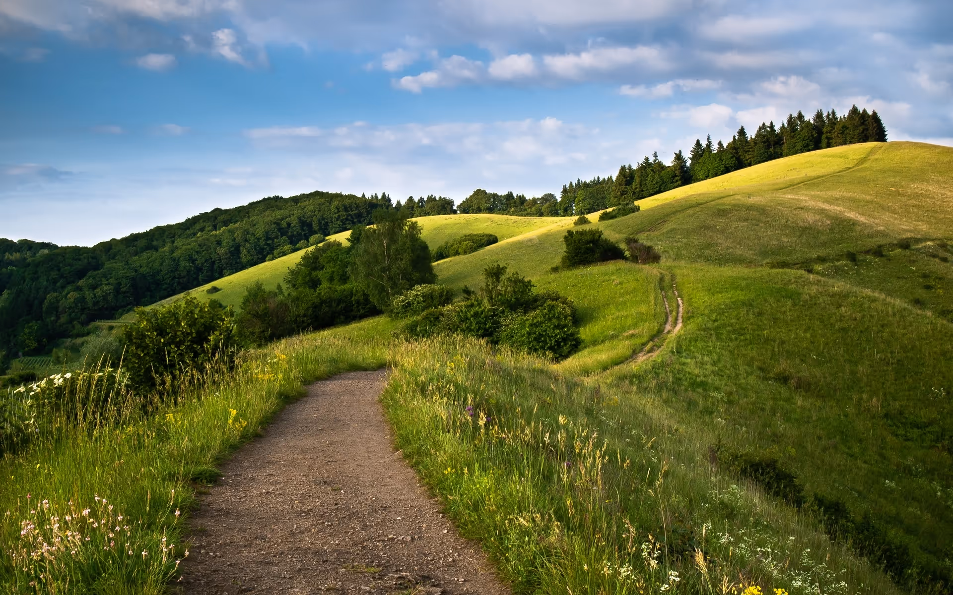 A dirt path winds through rolling grassy hills under a blue sky.