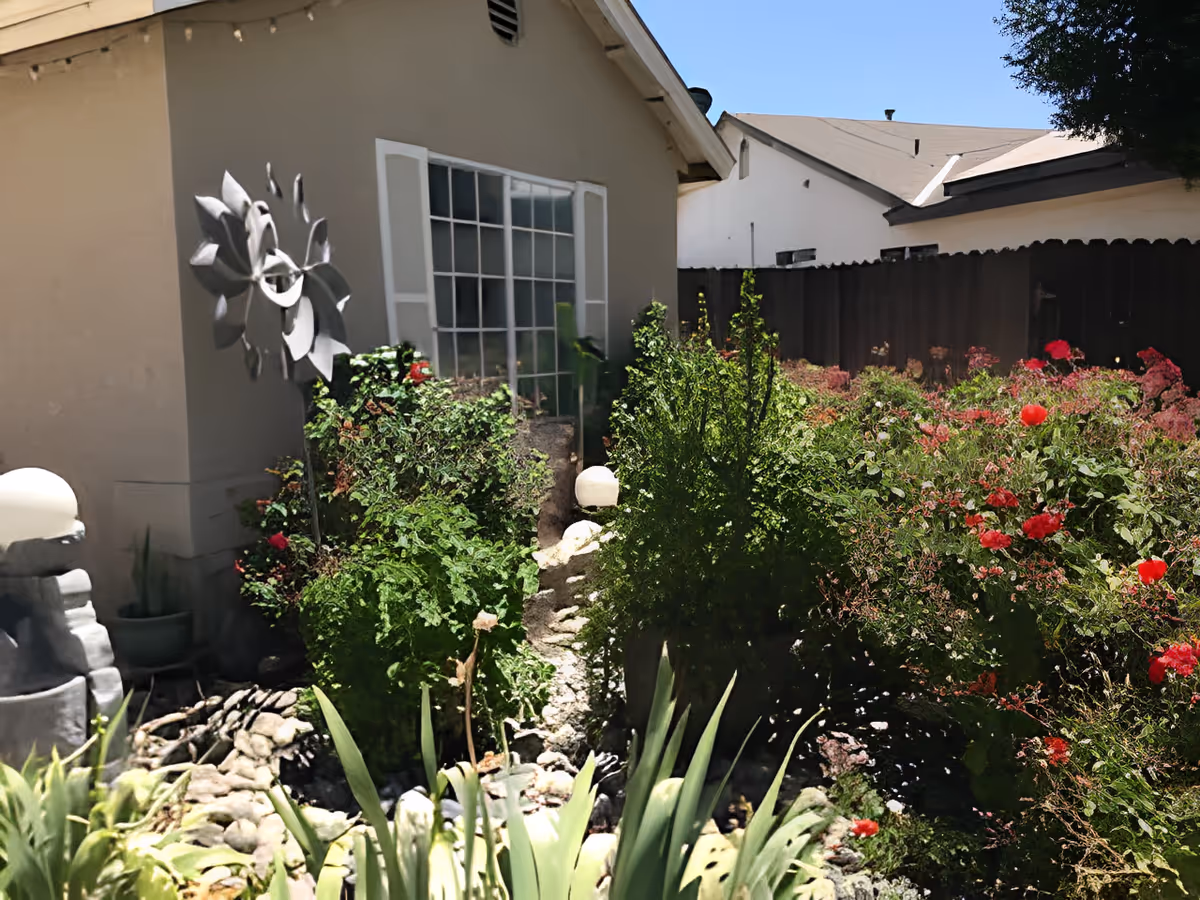 Sunlit garden with flowering shrubs, a metal wind spinner, and a house window and fence in the background.