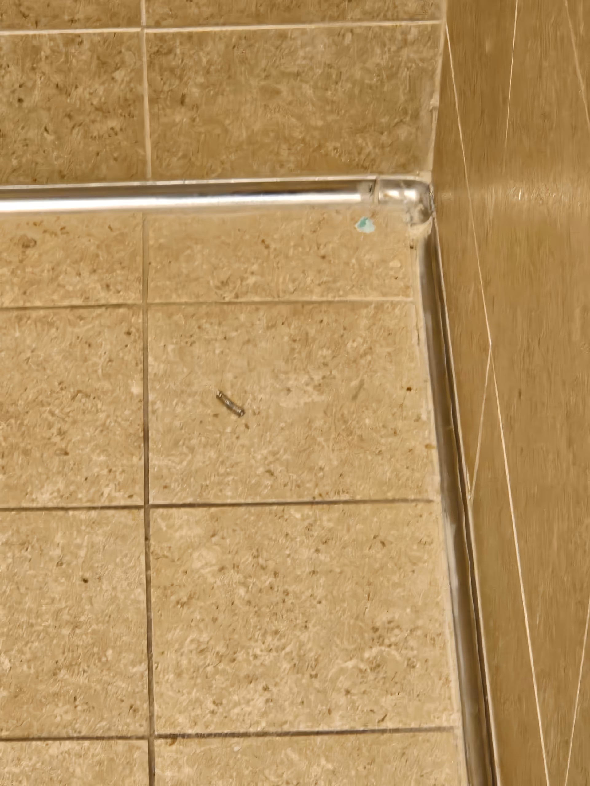 Close-up of tiled floor, wall tiles, and metal edge in an interior corner.