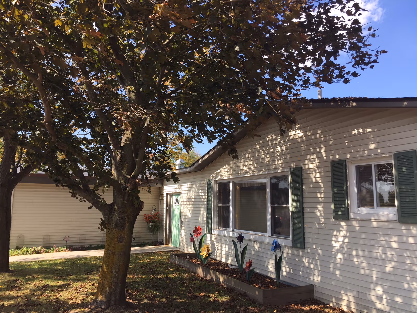 Single-story building exterior with green shutters, a tree, and a flower bed.