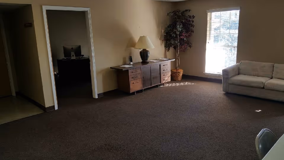 A living room area with sofa, console, lamp, and a tall plant.