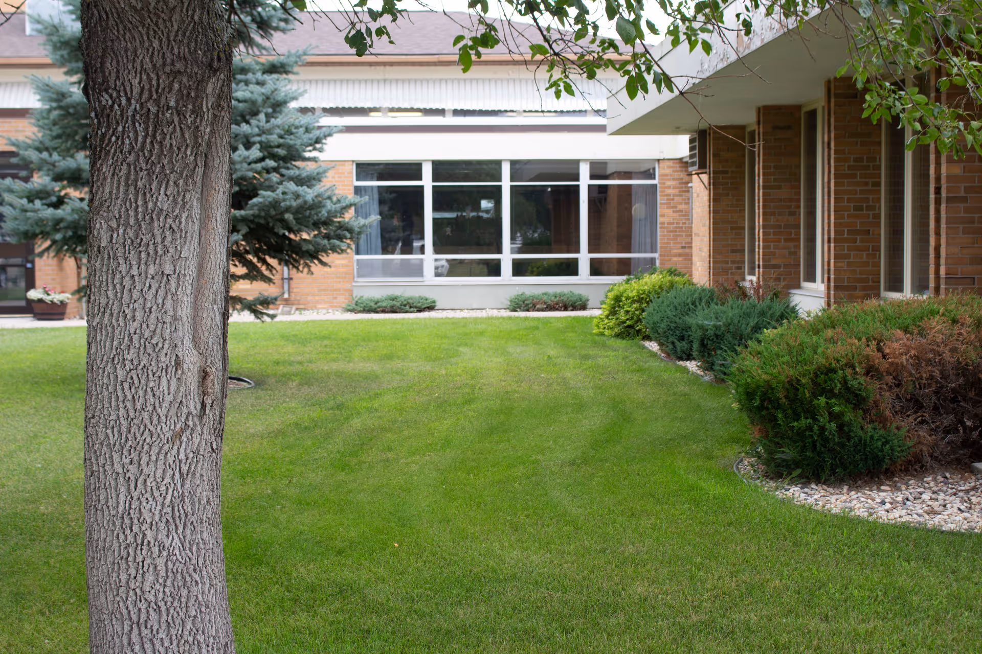Exterior view of Traverse Care Center with green lawn, shrubs, and large front windows.