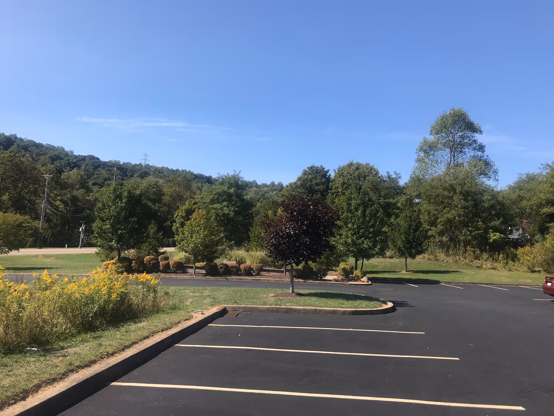 Exterior view of a parking lot with trees and a clear blue sky.