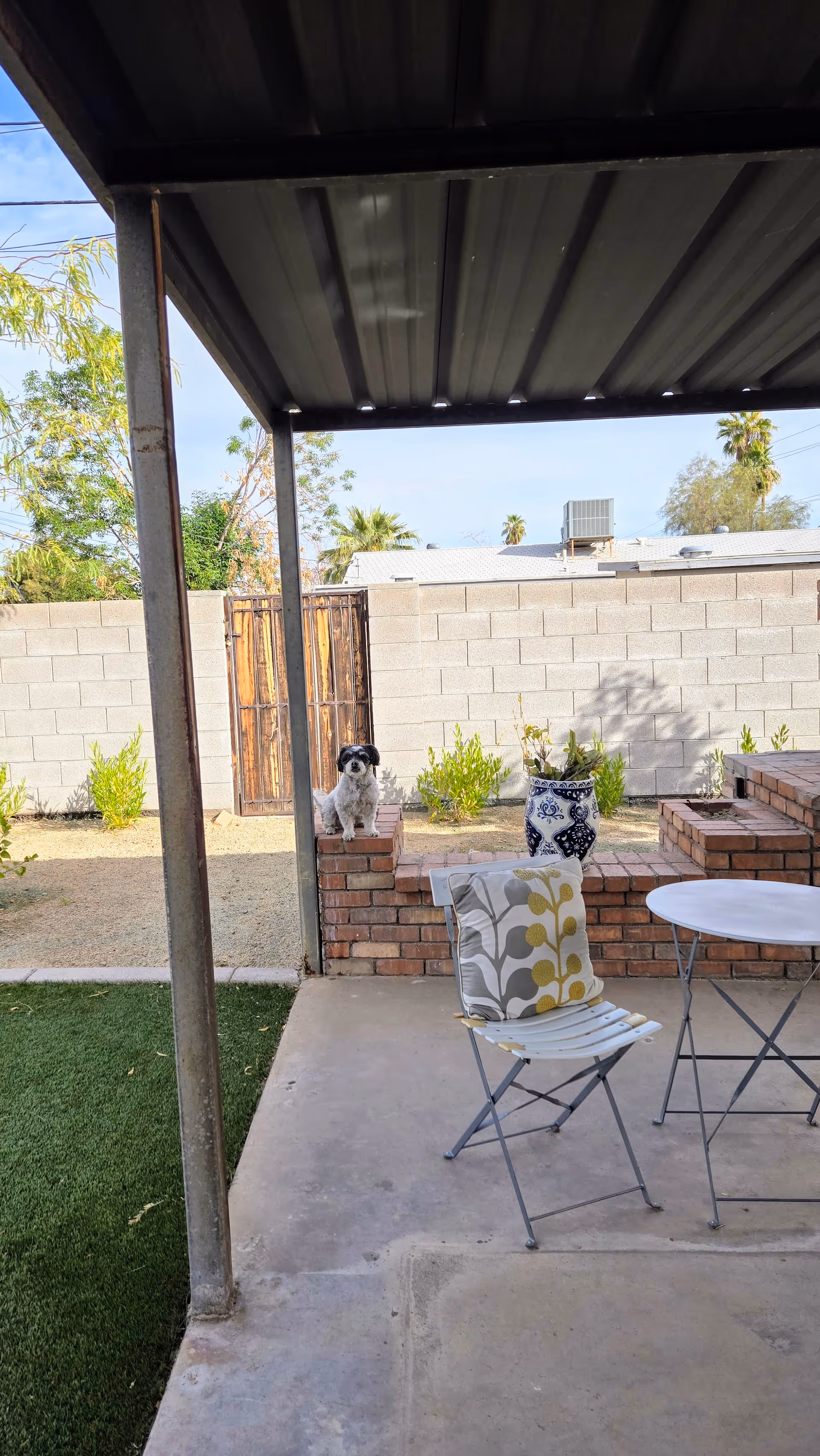 Small dog sits on brick ledge in shaded outdoor patio with table and chairs