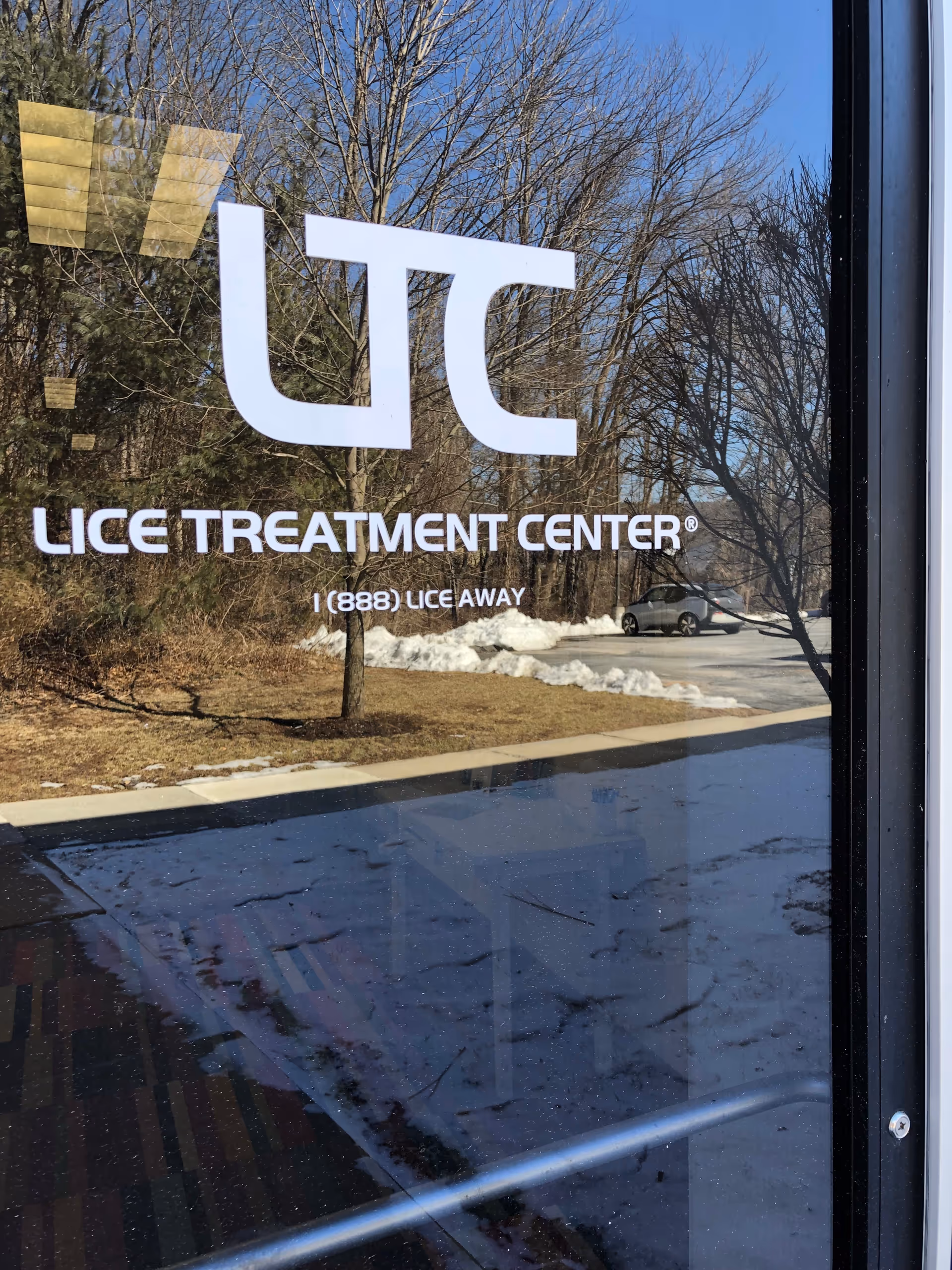 Glass door displays Lice Treatment Center logo; exterior view with bare trees and snow.