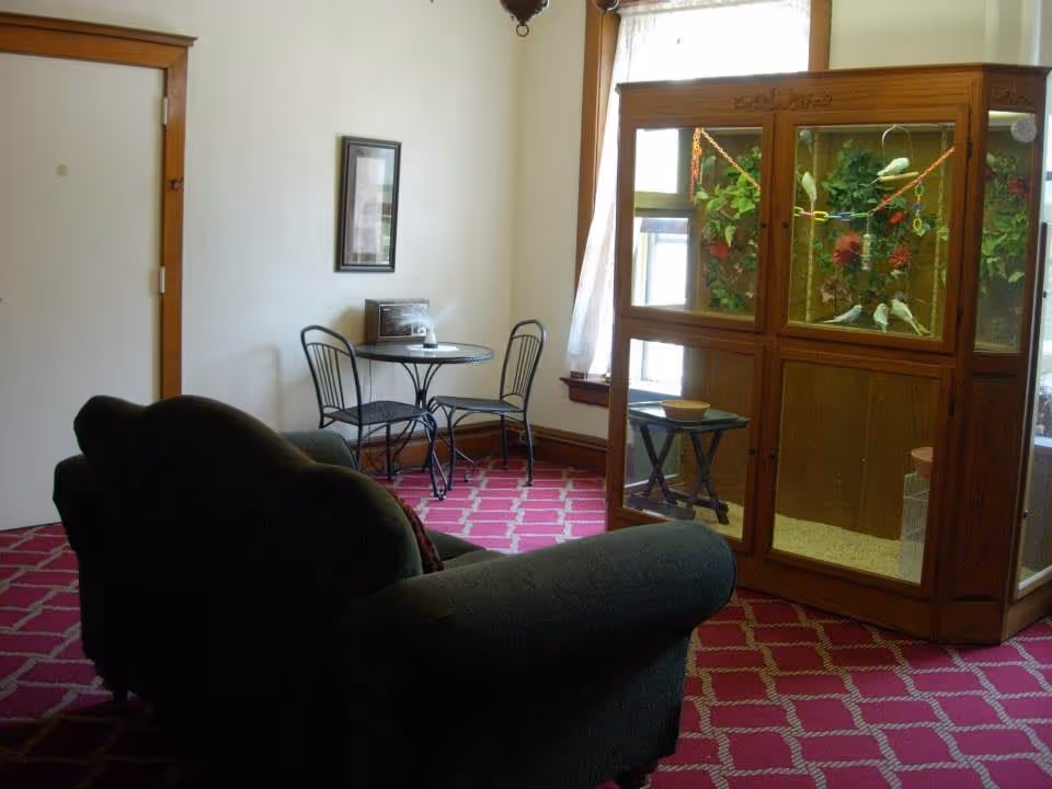 A cozy room with a dark green upholstered sofa facing a large wooden birdcage containing several white birds and colorful decorations. The room has a red carpet with a white geometric pattern, a small round table with two metal chairs, a framed picture on the wall, and a window with sheer curtains letting in natural light.