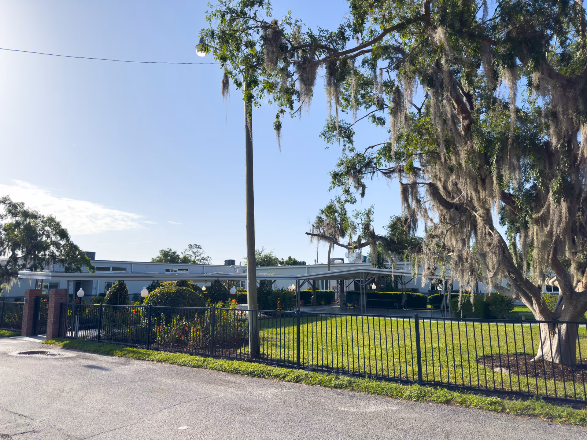 Front exterior of Avante at Mt Dora with a black fence, manicured lawn, and large tree.