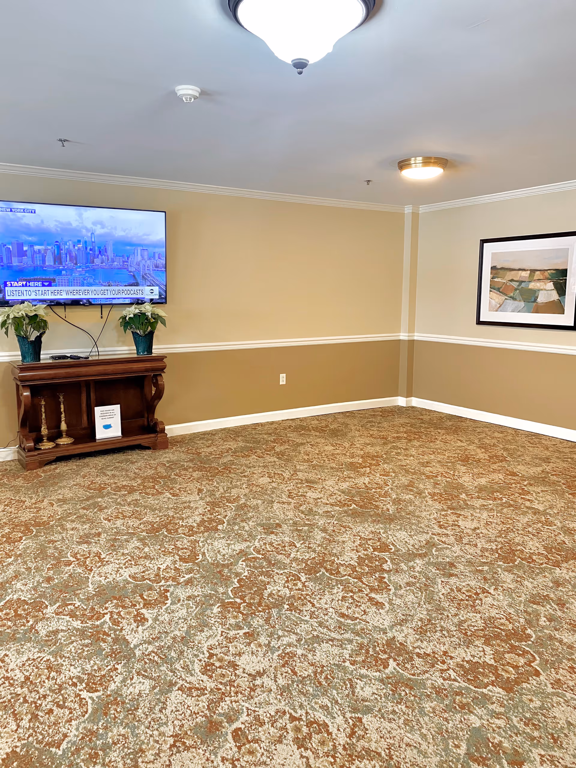 A room with beige and light brown walls, a patterned carpet, a mounted flat-screen TV displaying a cityscape, a wooden console table with two potted plants, and a framed abstract painting on the wall.