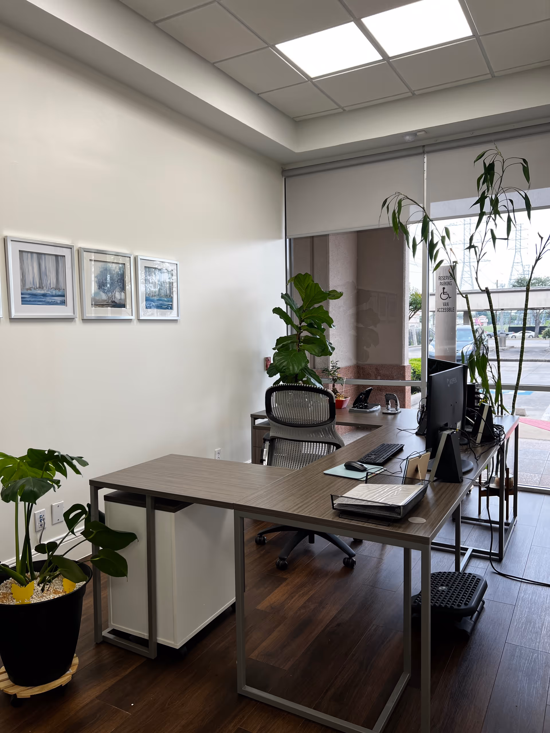 Interior office workspace with desks, computers, office chairs, and potted plants near large windows.