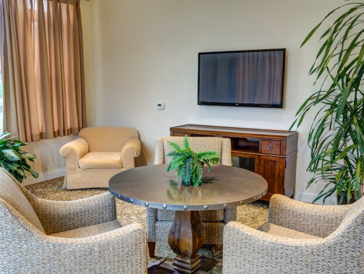 Living room seating area with round table, four chairs, TV, and plants.