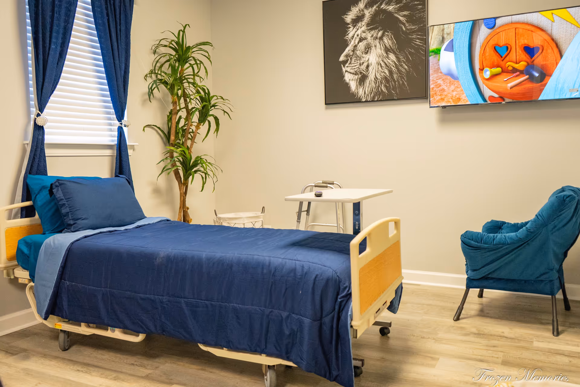 Hospital-style patient bedroom with blue bedding, plant, curtains, small table, and wall TV.