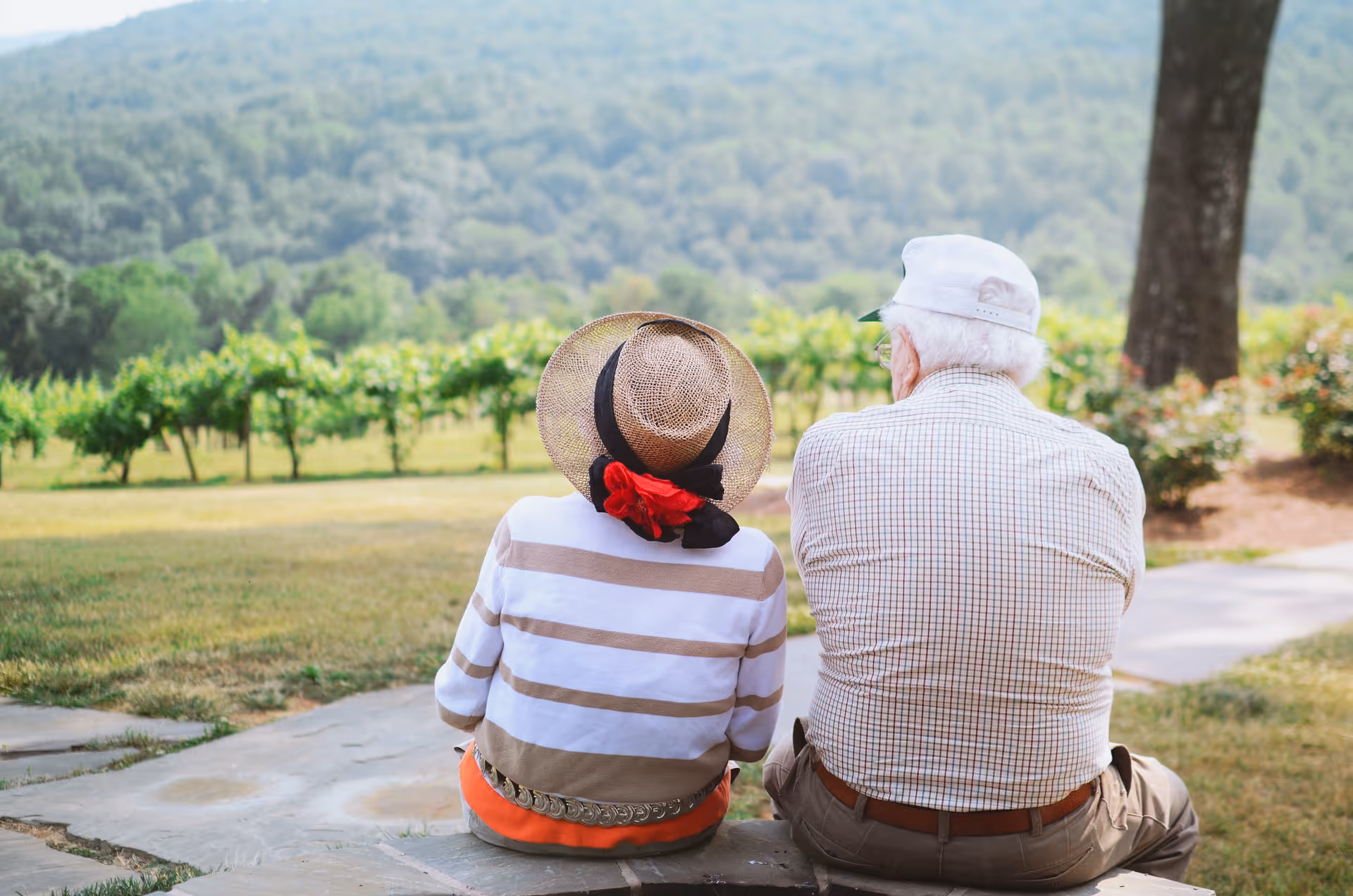 An elderly couple sits side by side on a stone ledge facing a vineyard and tree-covered hills.