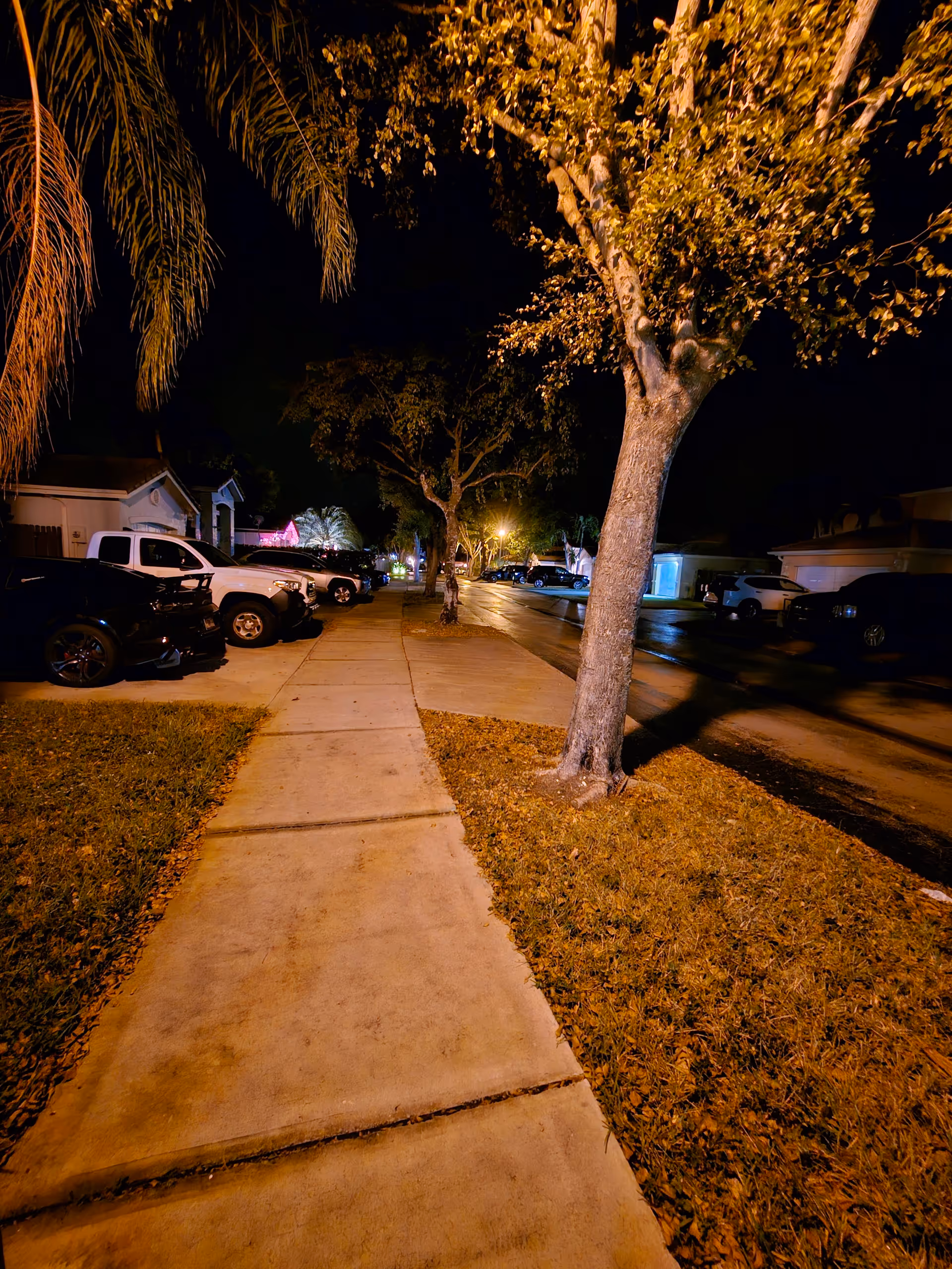 Nighttime residential street with parked cars, trees, and a concrete sidewalk.