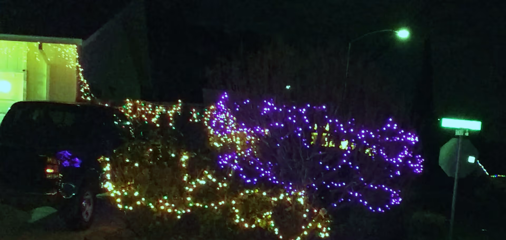 Night exterior of a building with colorful string lights on bushes and a parked van