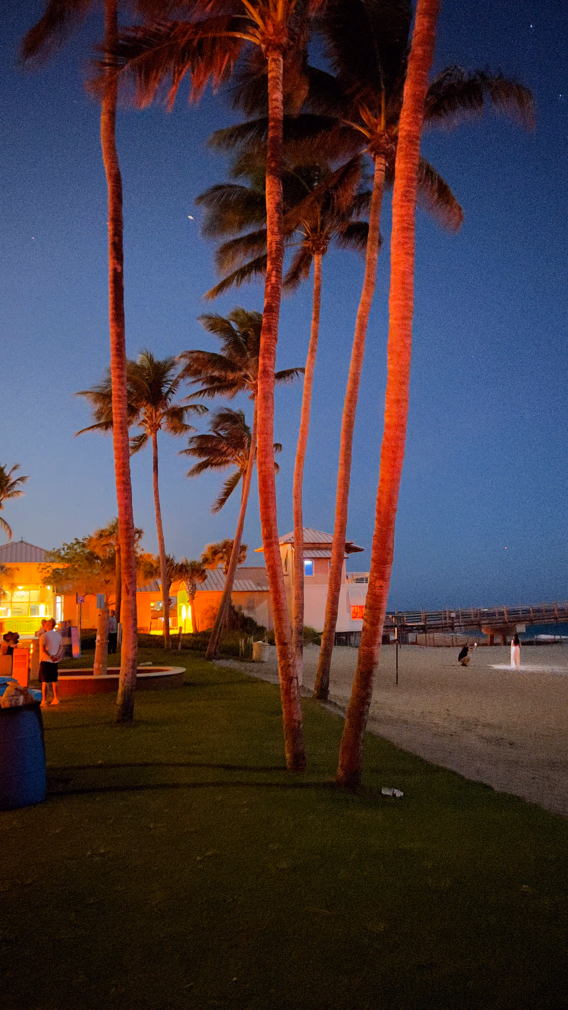Evening beachfront scene with tall palm trees, a warm-lit building, and people near the shore.