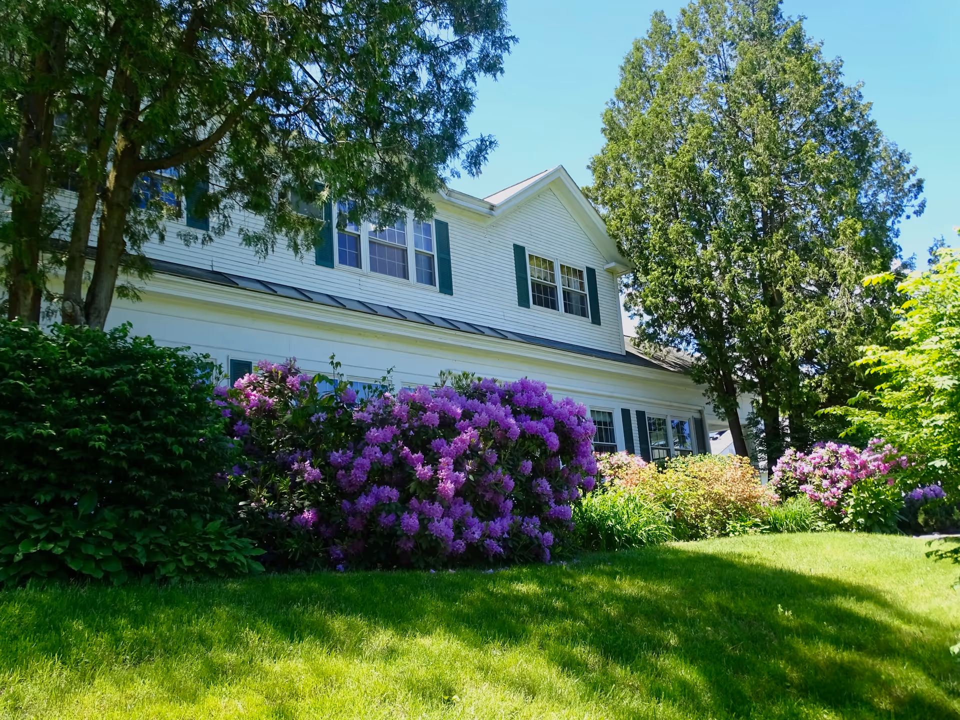 Front exterior of a white multi-story building with green shutters surrounded by trees, purple flowering bushes, and a green lawn.