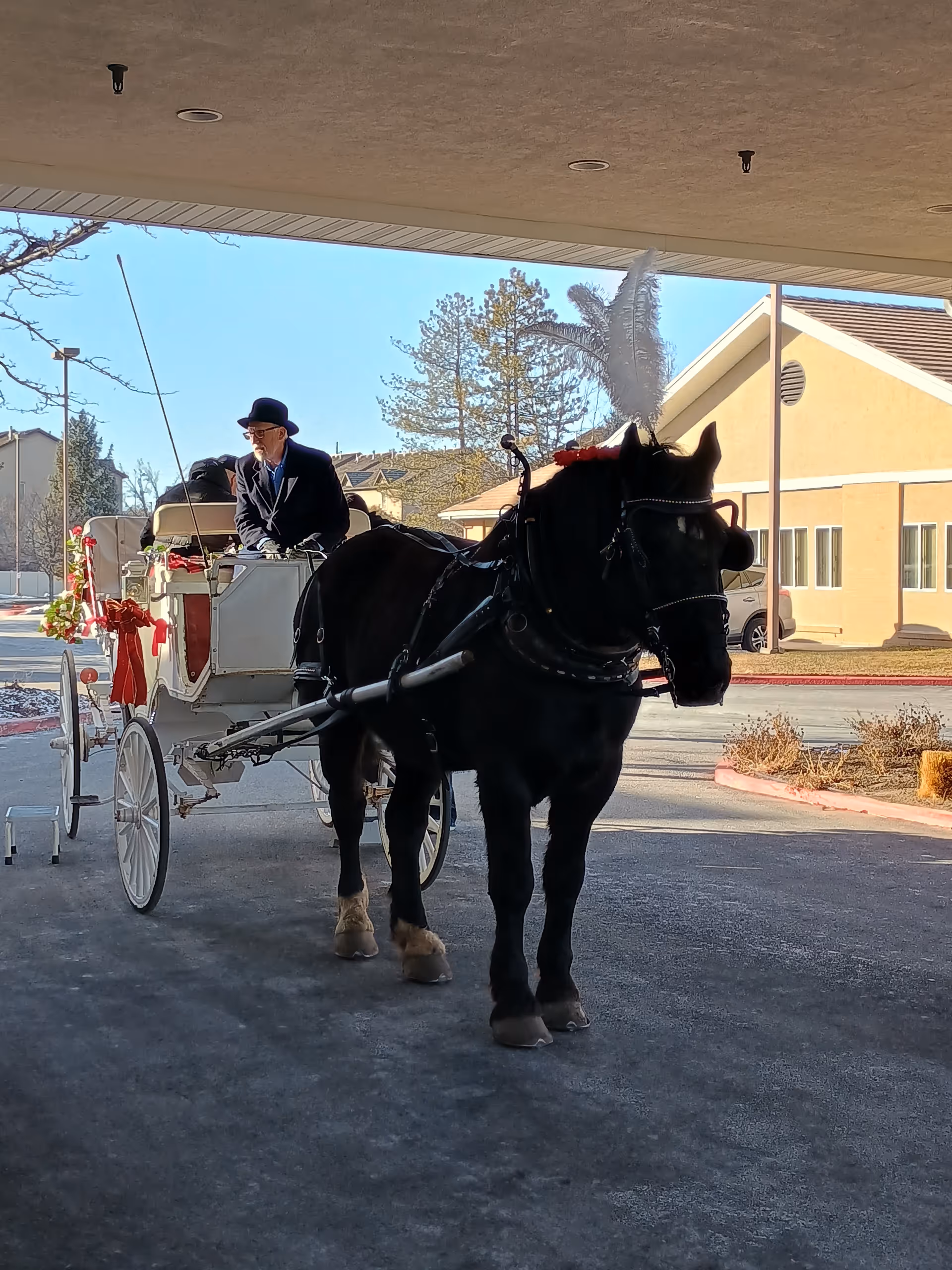 Horse-drawn carriage with a driver under a covered porte-cochere beside a beige building.
