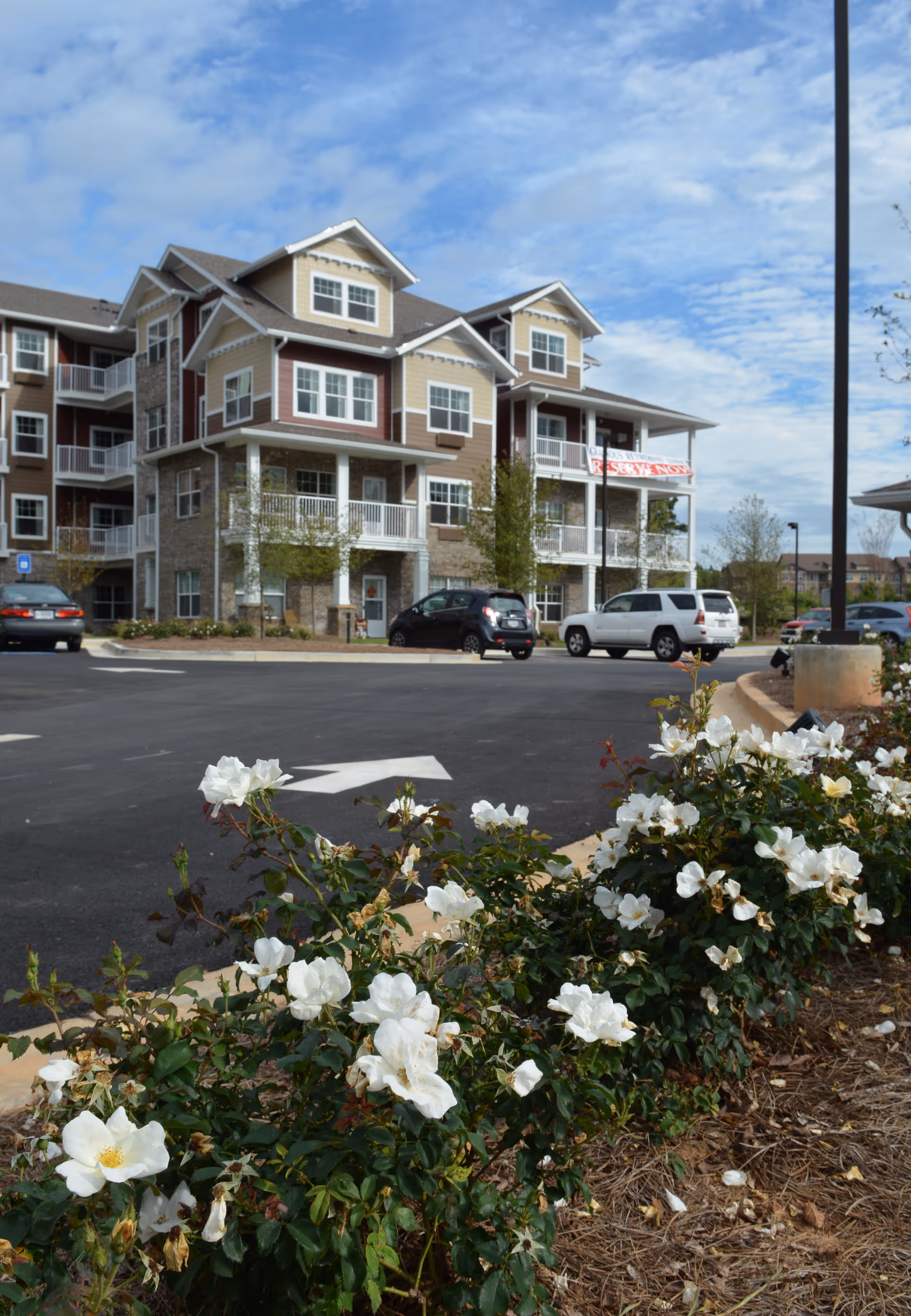 Three-story residential building with balconies and parked cars, seen behind a foreground bed of white flowers.