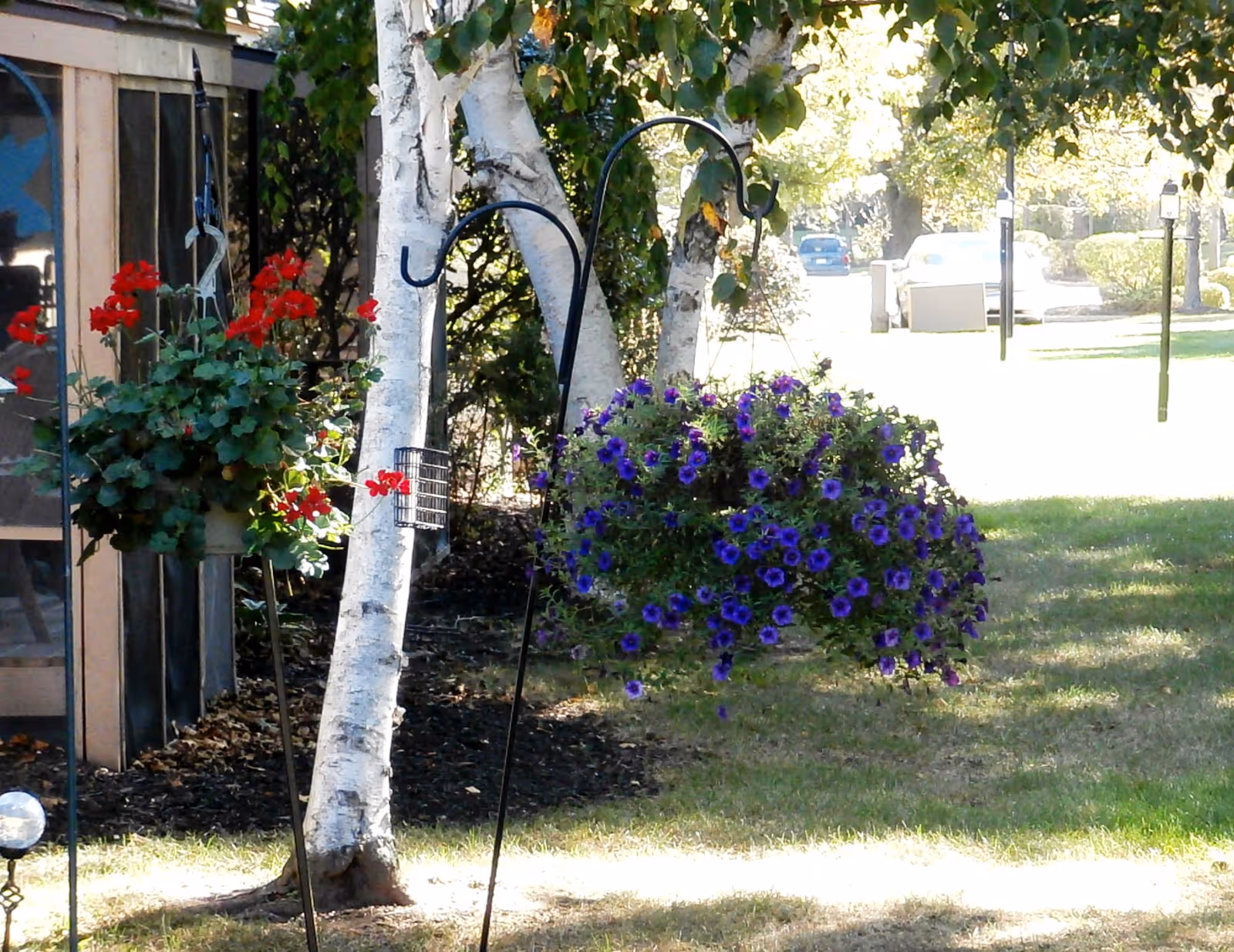 Flower baskets and hanging planters with trees dot a grassy outdoor area at the retirement village.