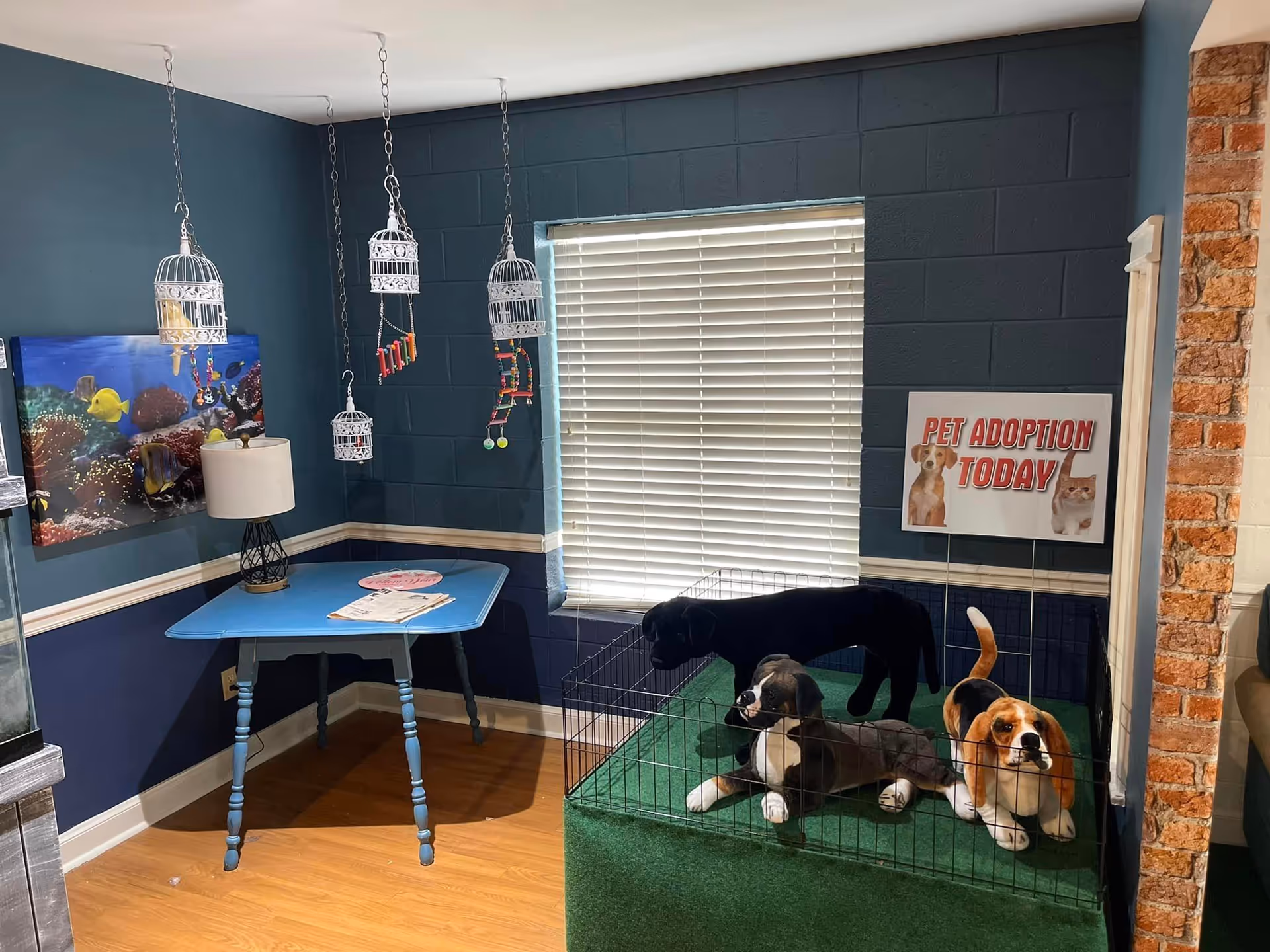 A blue-walled indoor room with a dog play pen and pet adoption sign.