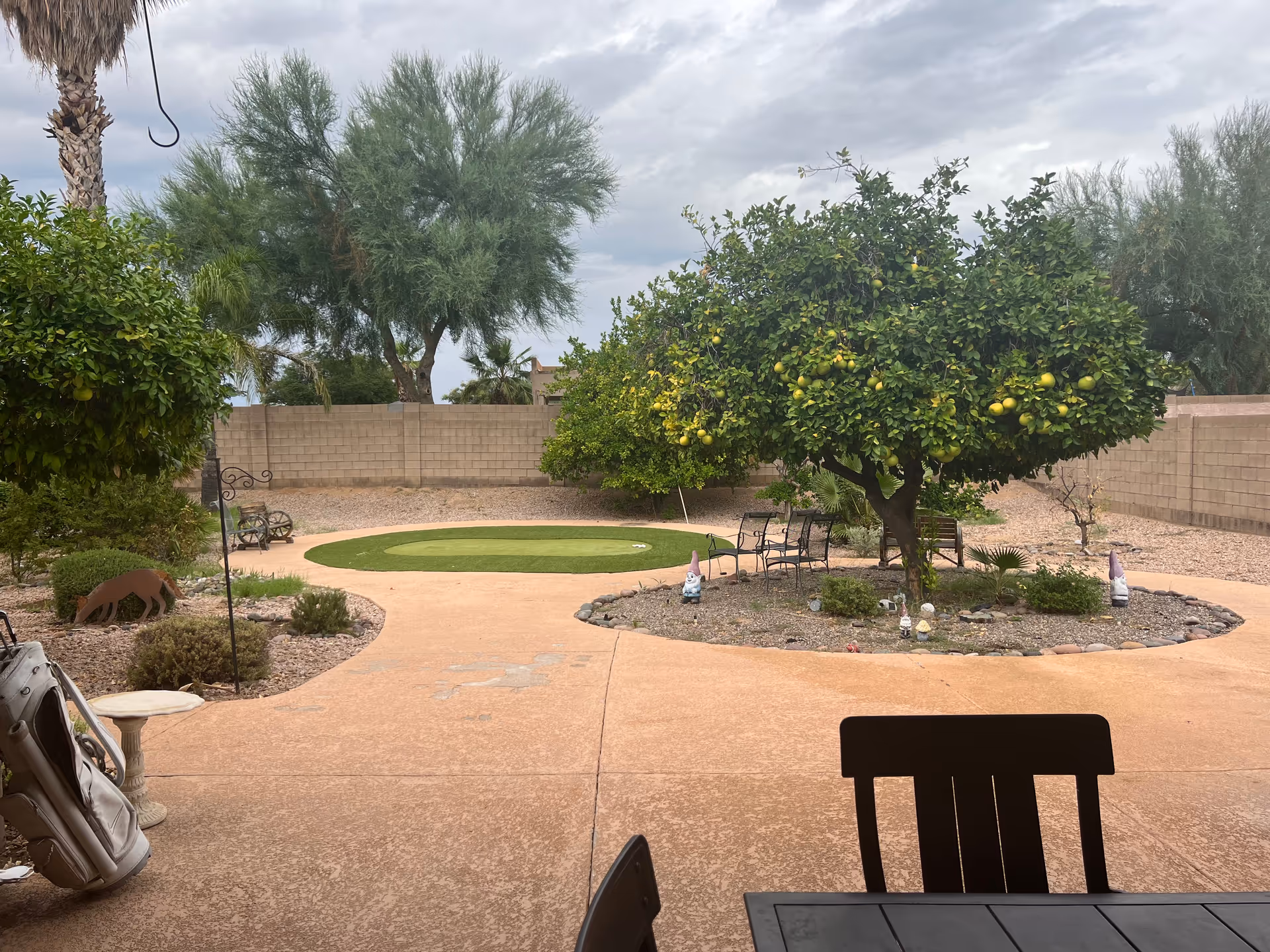 Outdoor courtyard with trees, seating, and a circular green turf area beside a concrete patio.
