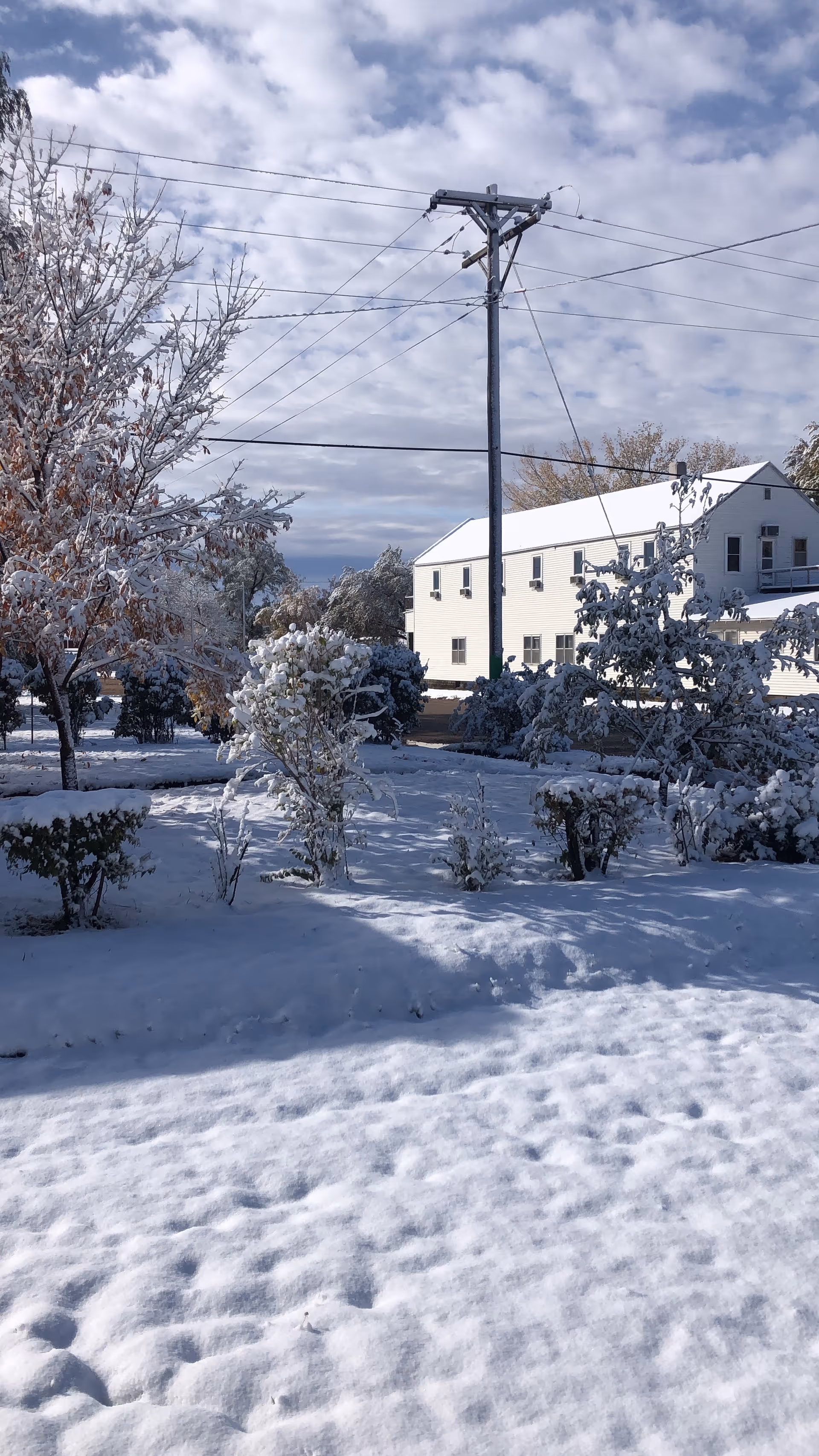 Snowy exterior scene of a senior care facility with a white building and bare trees.