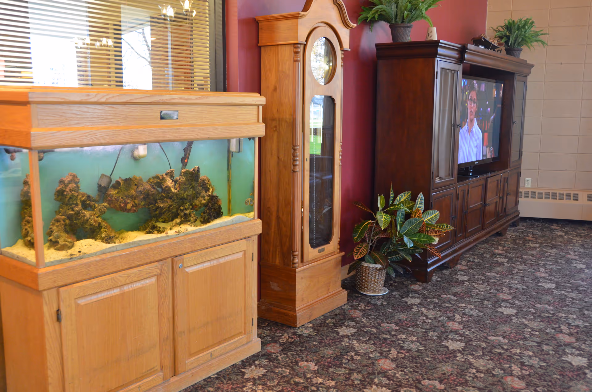 Interior lounge area with a large aquarium, wooden furniture, TV cabinet, and plants.