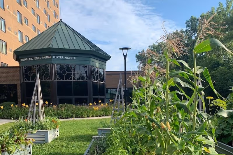 Raised garden beds and tall plants in a courtyard in front of a brick building with a green-roofed winter garden pavilion.