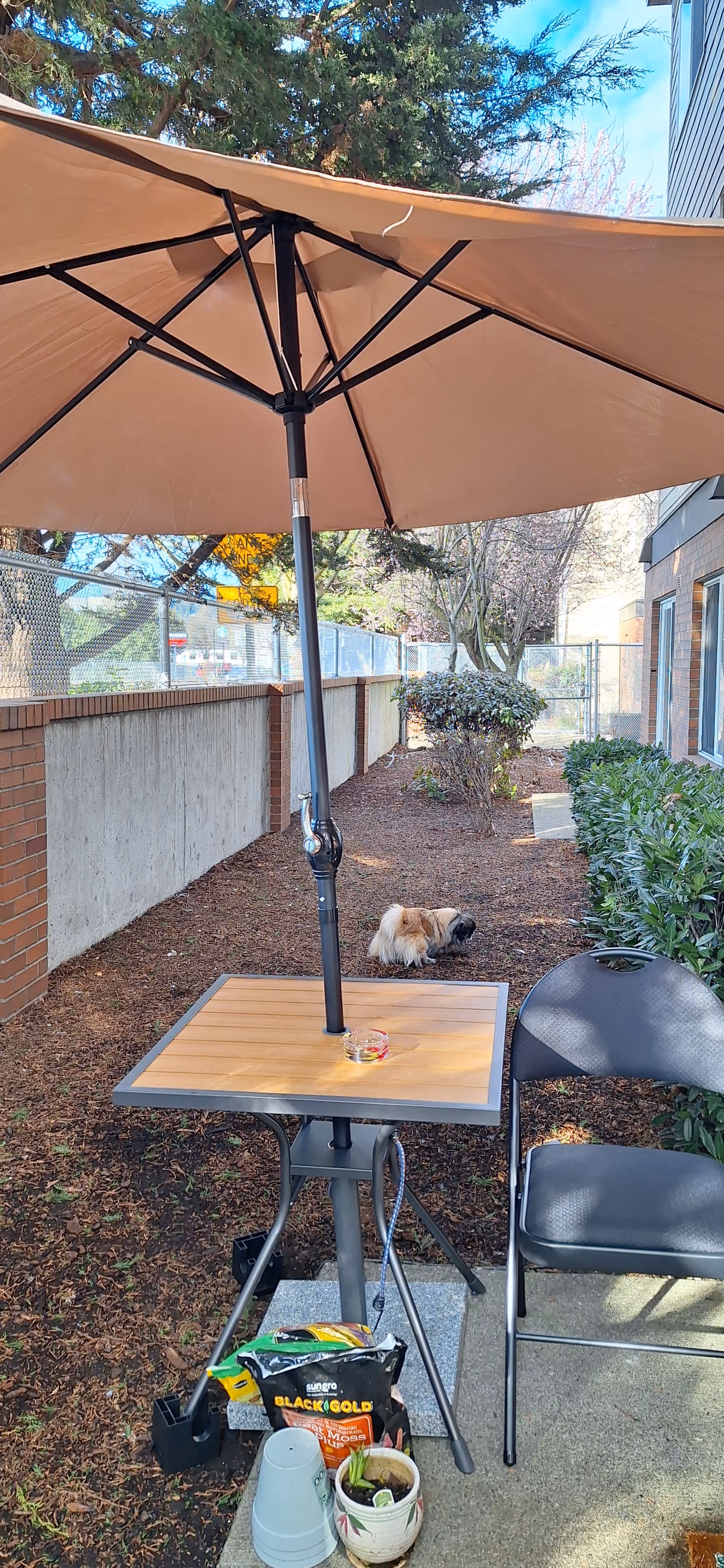 Outdoor seating area with a large umbrella, table, chair, and a small dog nearby.
