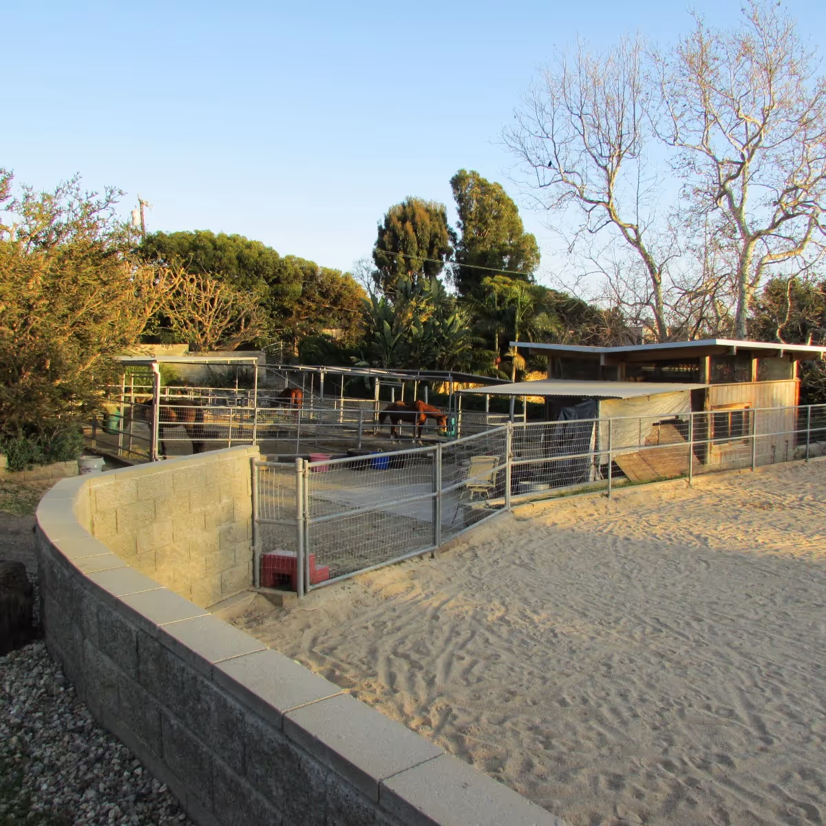 Fenced livestock pens and a small ranch-style building beyond a sandy yard.