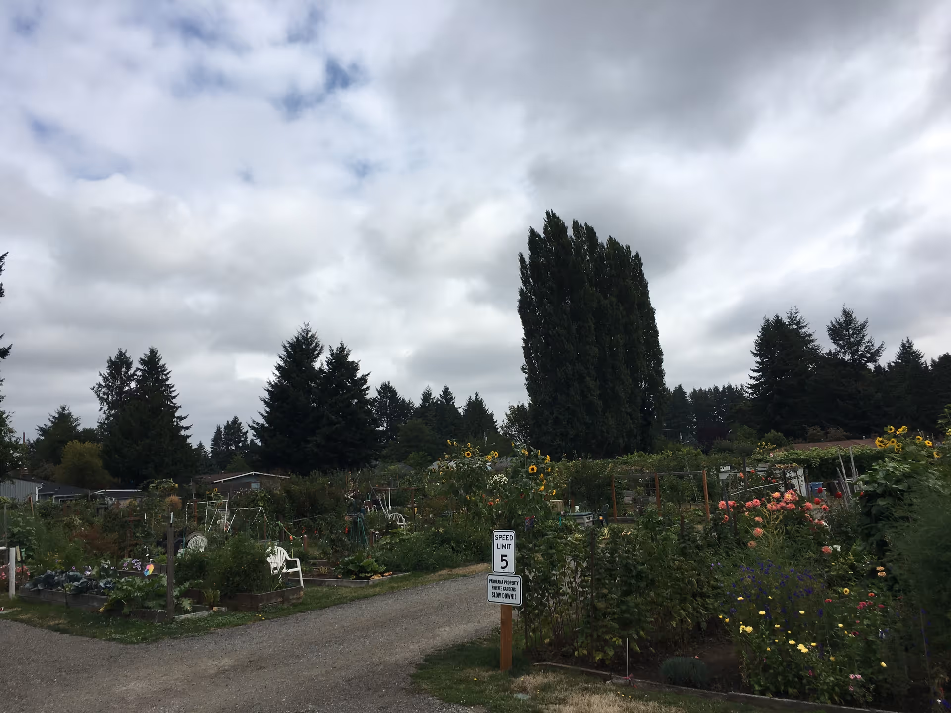 Outdoor garden area with flowering plants, trees, and gravel paths in a senior living campus.