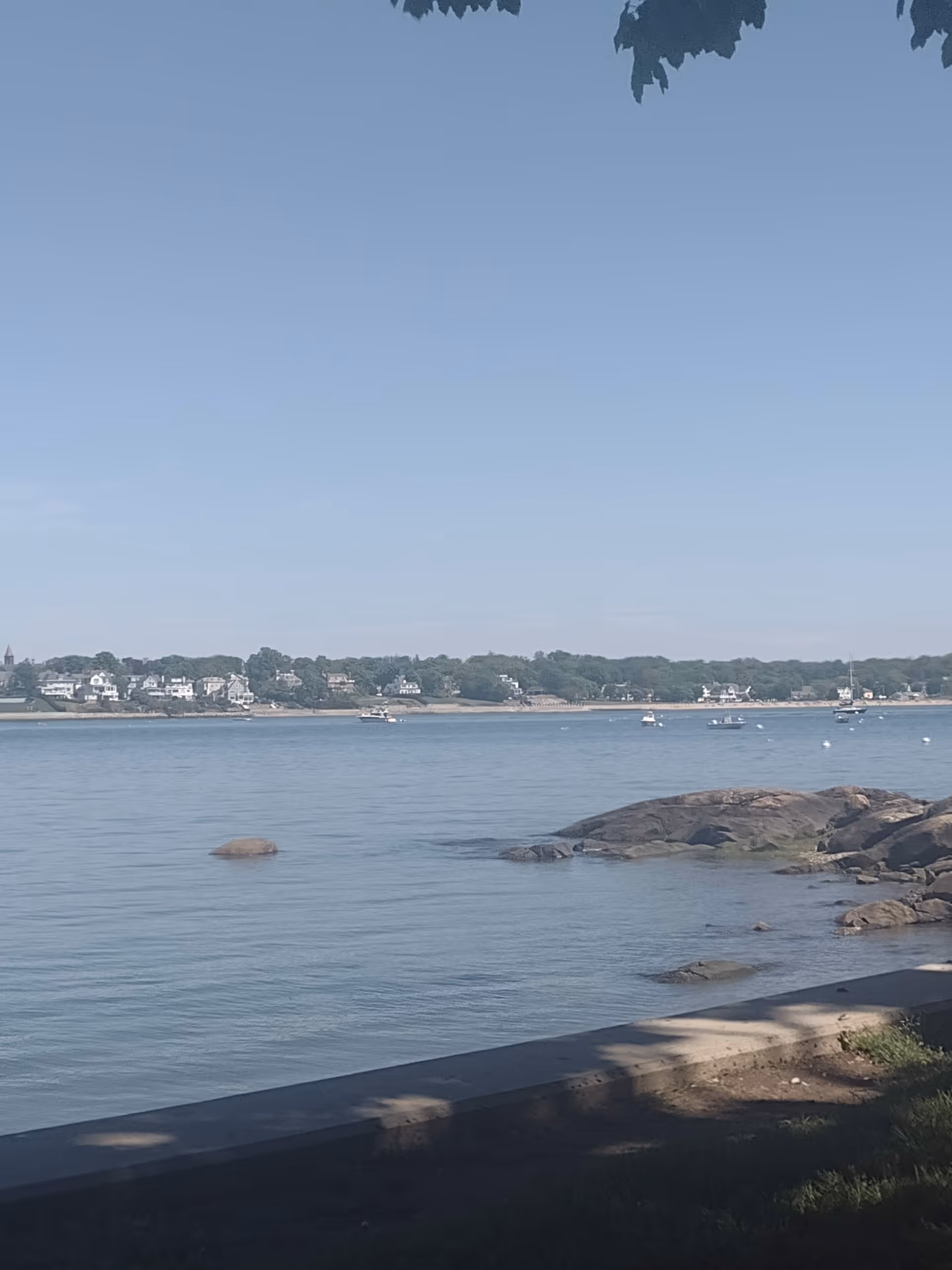 Tranquil waterfront view with rocks, calm water, and distant shoreline on a clear day.