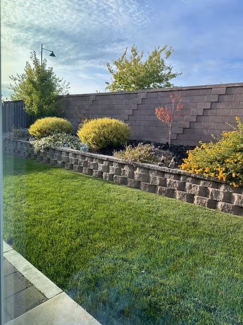 A well kept lawn with a stone retaining wall and shrubs along an exterior area.