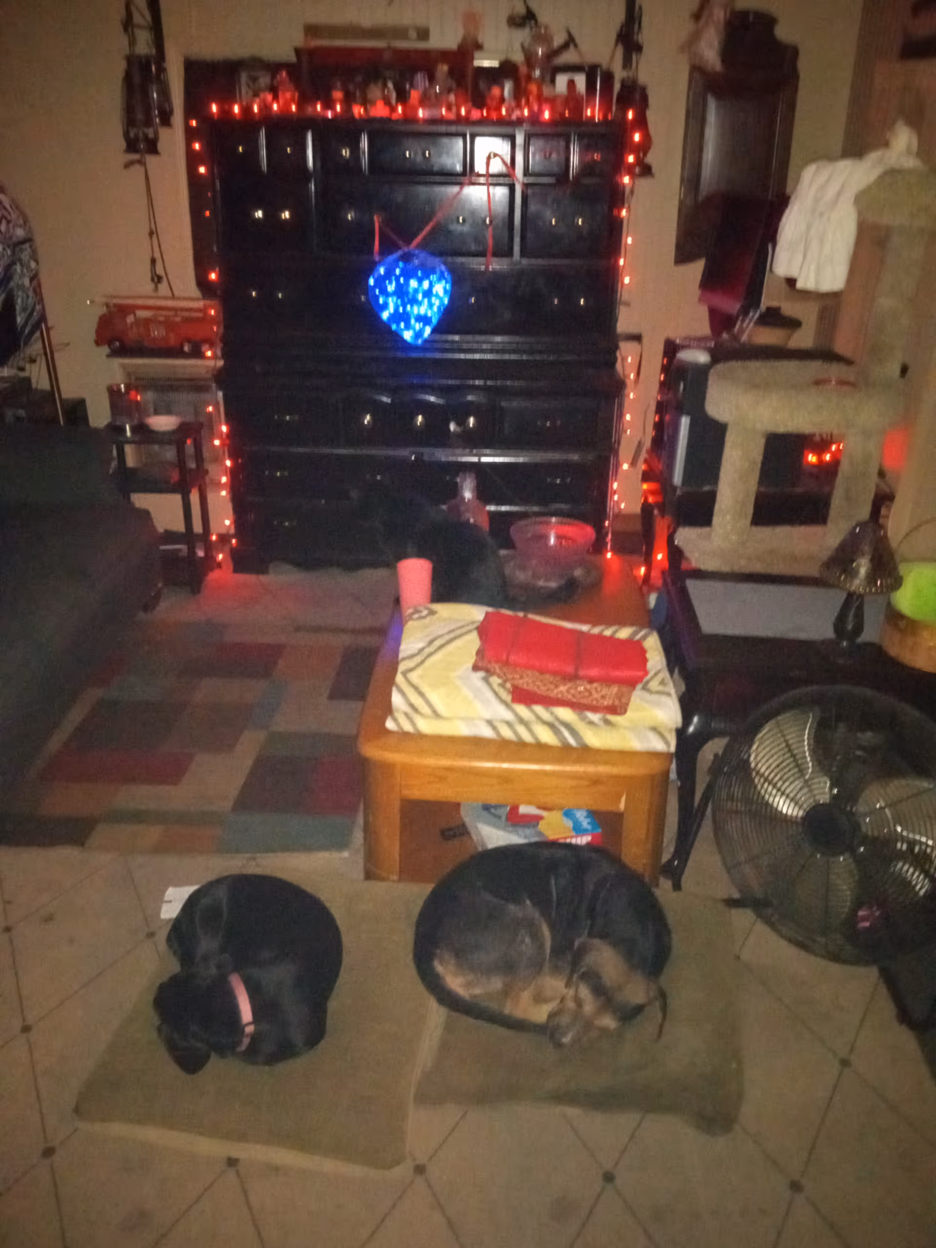 Two dogs sleeping on cushions in a cluttered living room with a dark dresser and lights.