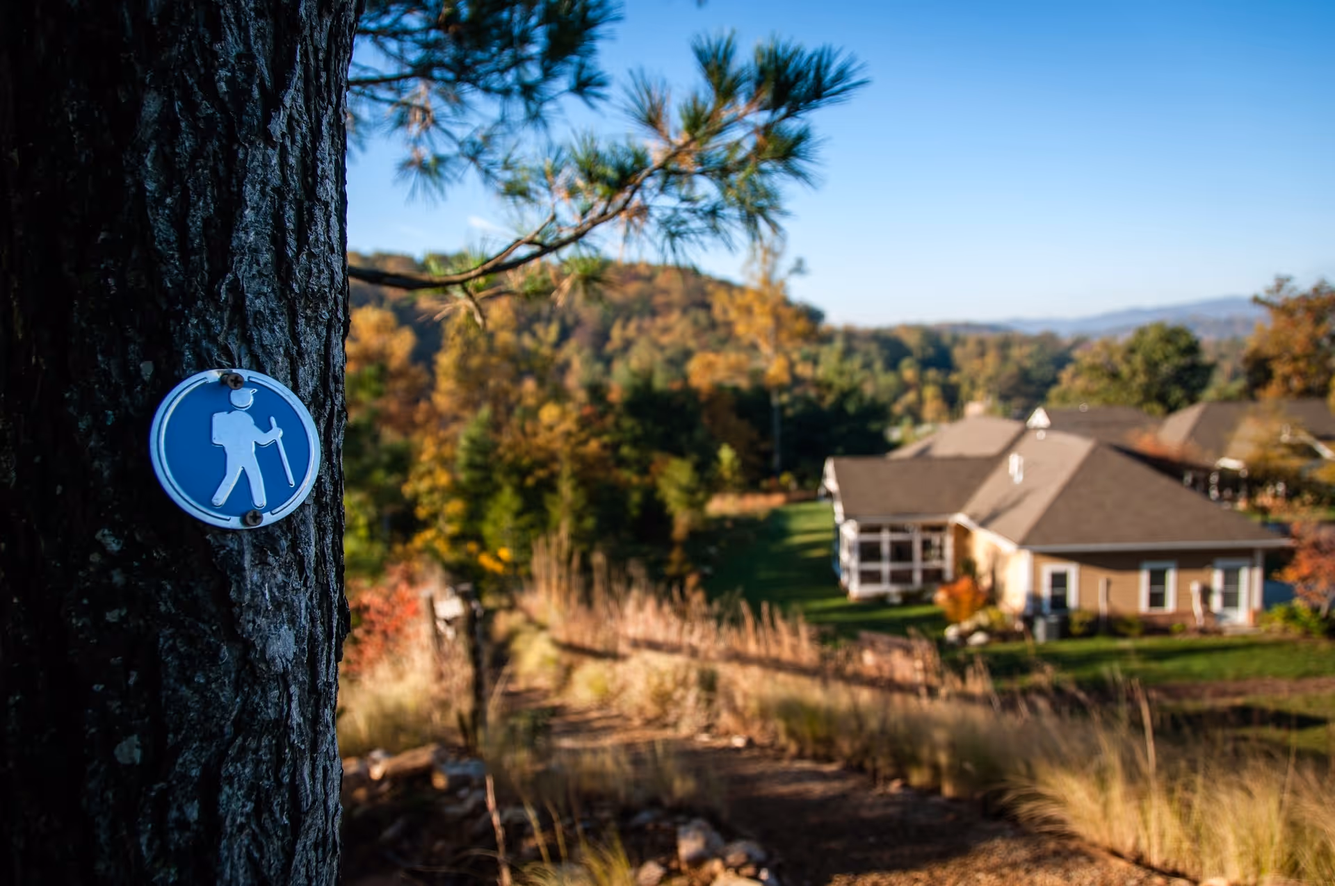 A tree trunk with a blue circular sign showing a person hiking with a walking stick, set against a blurred background of a walking trail, grassy area, trees with autumn foliage, and residential buildings under a clear blue sky.