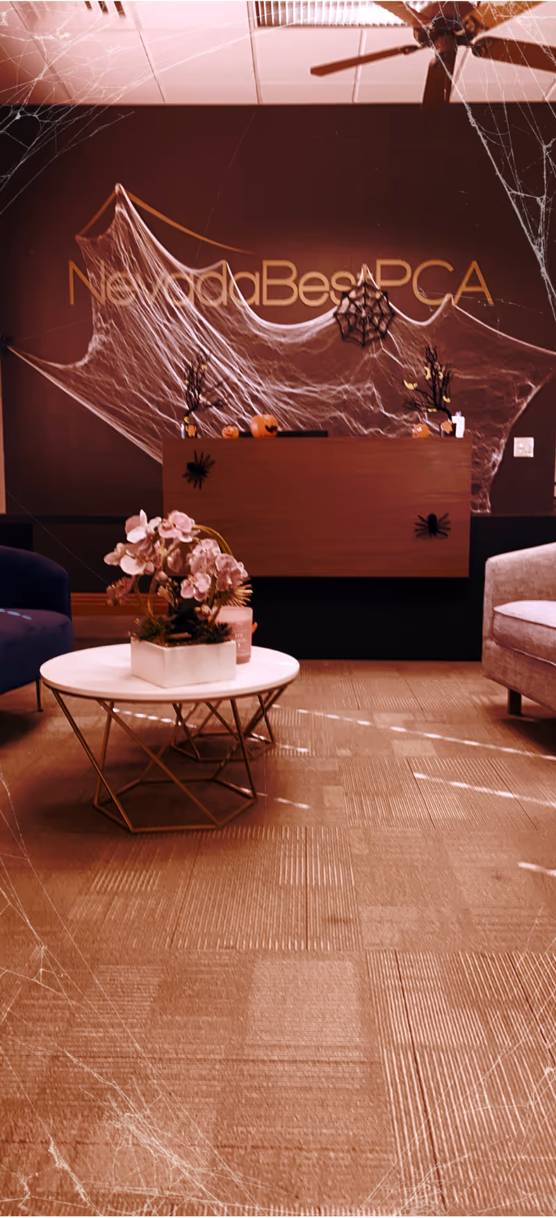 Lobby reception area with a desk, seating, plants, and spiderweb decor.