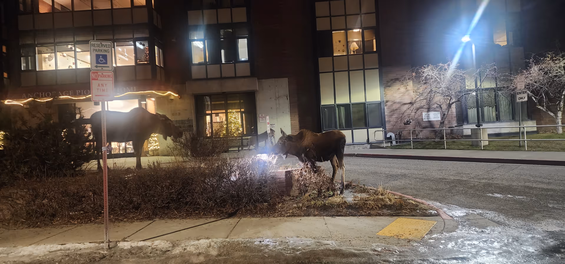 Night exterior of Pioneers' Home I with two horses near the entrance.