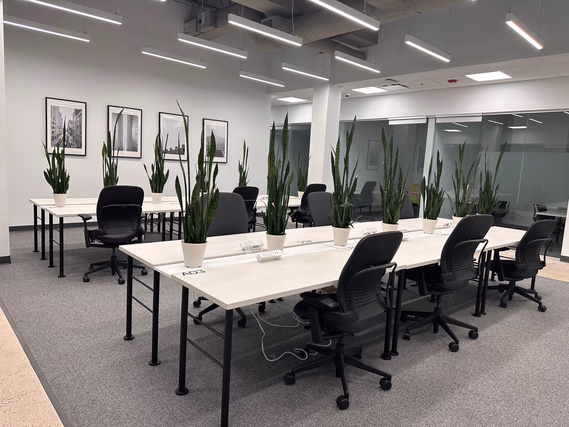 Open office-style conference area with long tables, chairs, and potted plants.