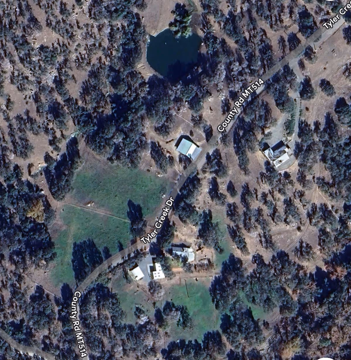 Aerial view of Sequoia Life-style Treatment Center buildings among trees beside a road.