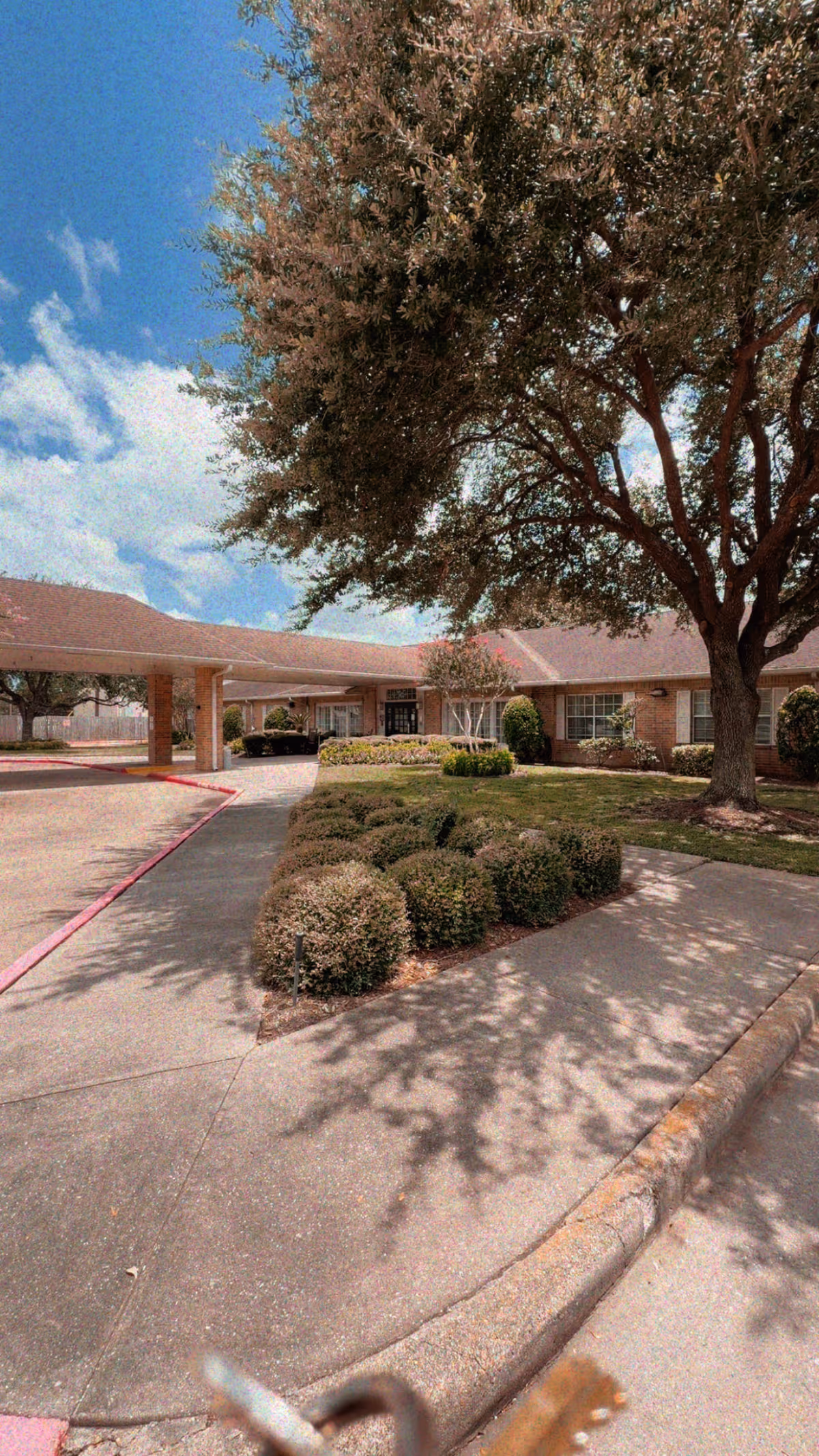 Front exterior of The Reserve at Pasadena with driveway, landscaping, and a large tree.