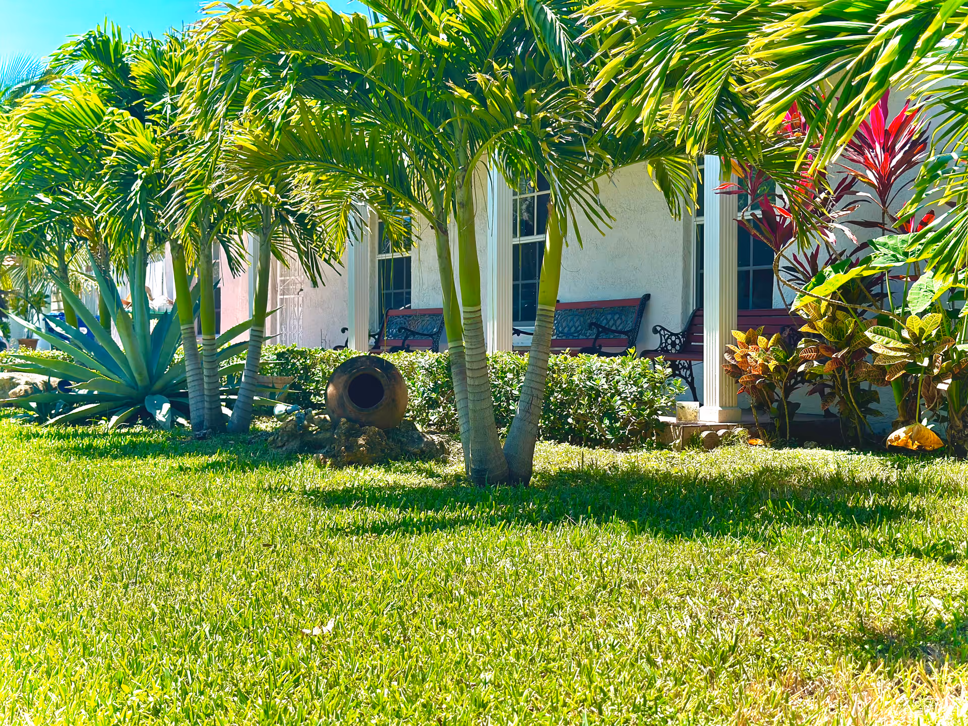 Grassy front yard with palm trees, tropical plants and a porch with benches.