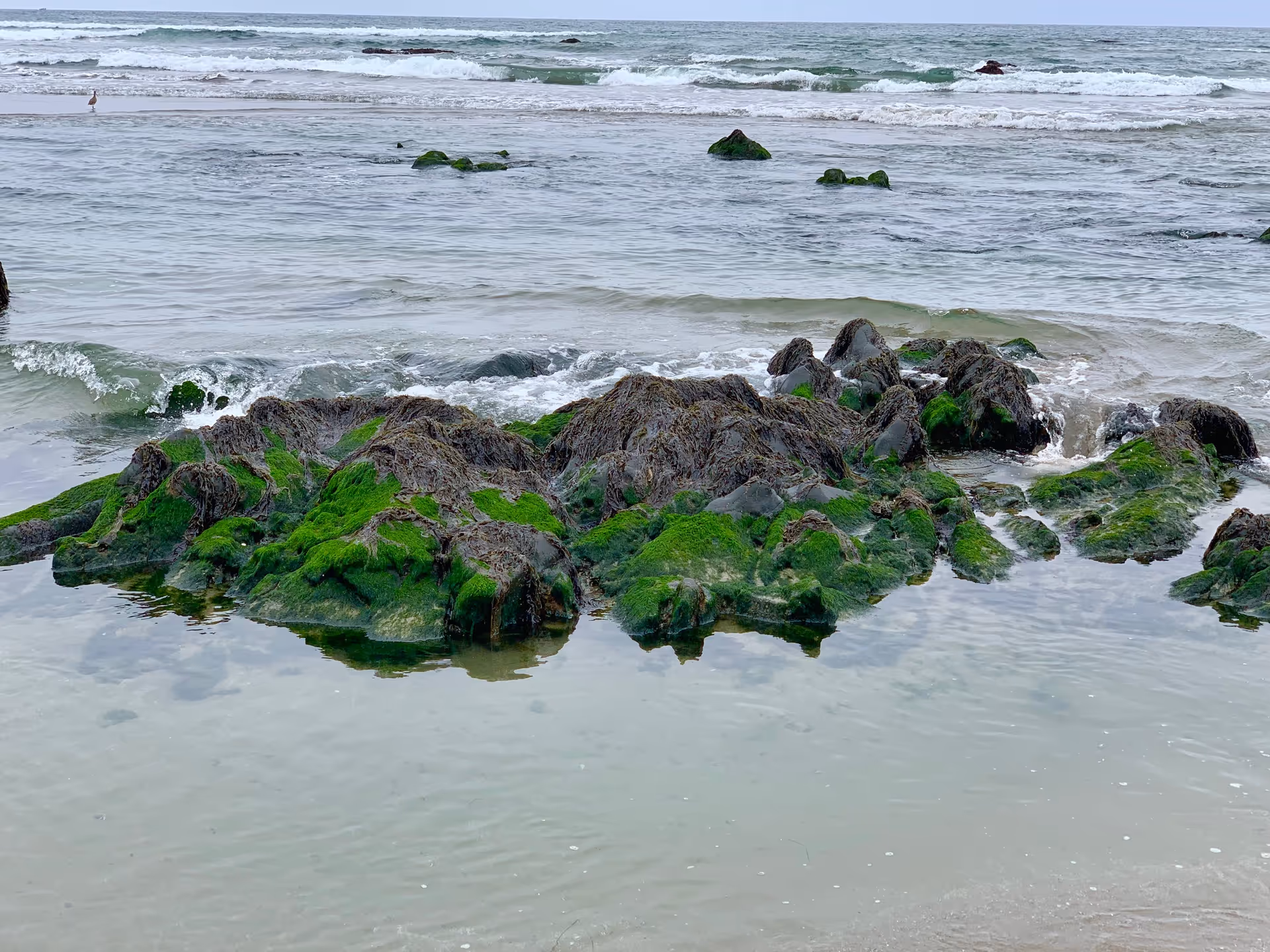 Shoreline with moss-covered rocks and gentle waves on a calm beach.