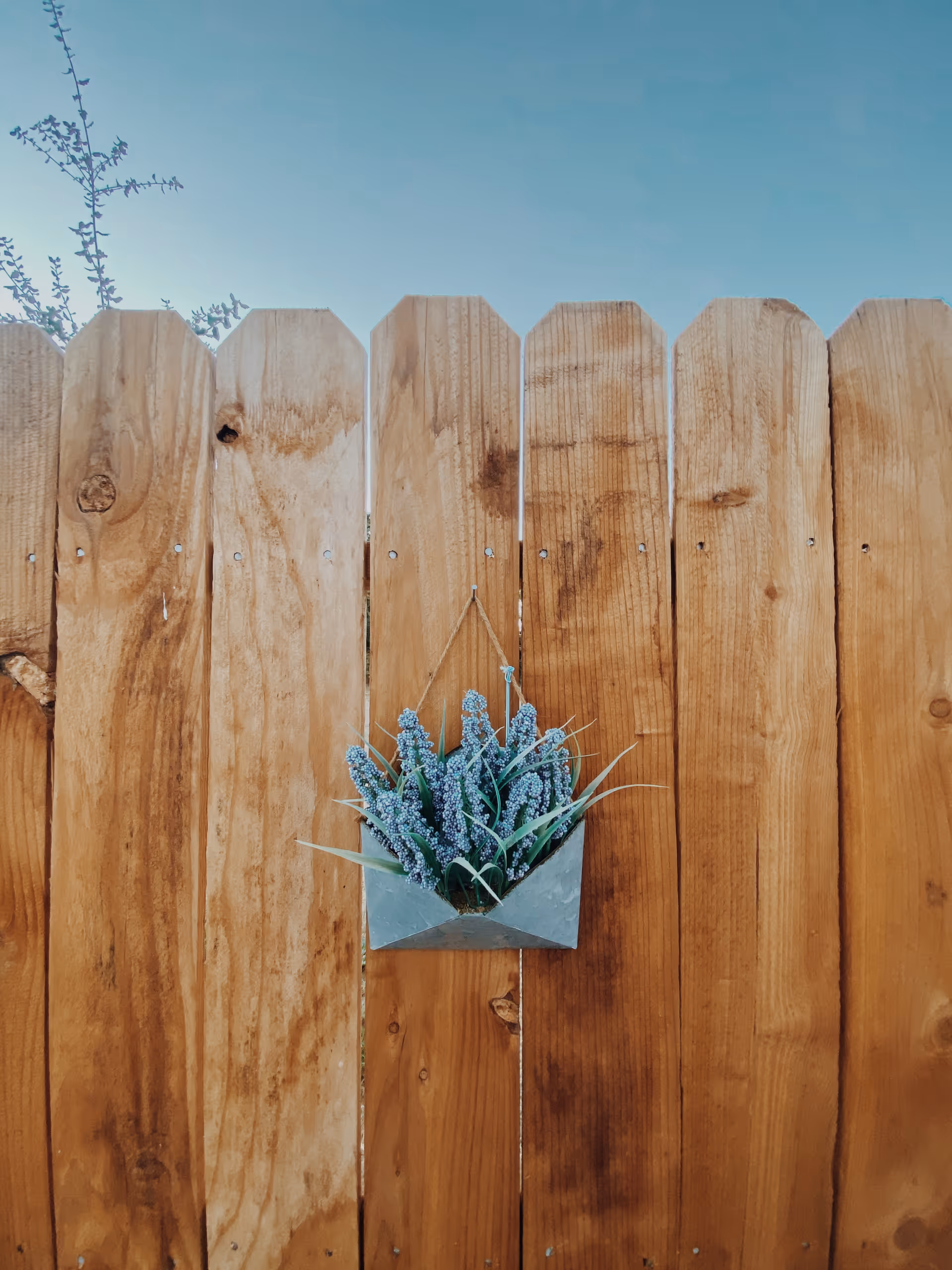 A wooden fence with vertical planks and a small metal planter hanging on it containing purple flowers and green leaves, set against a clear blue sky.