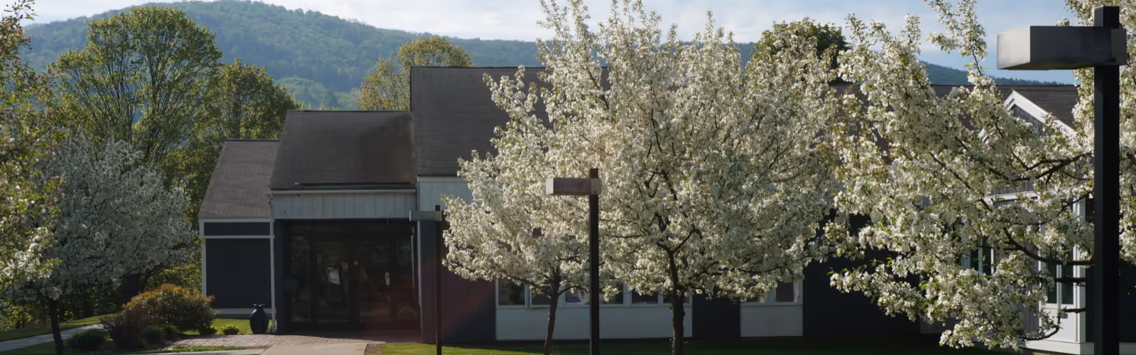 Exterior view of Mayo Healthcare facility entrance with blooming white trees in front.