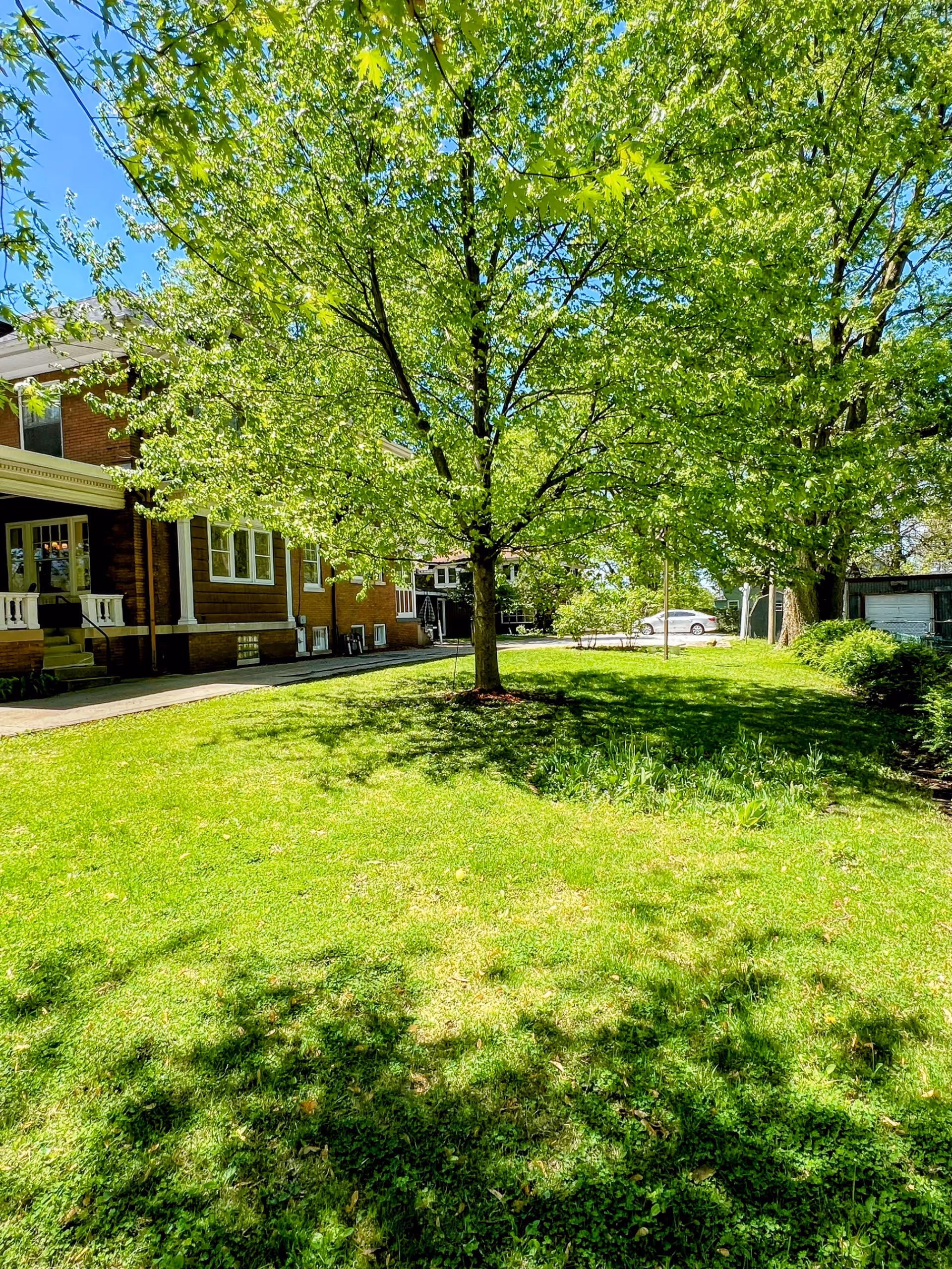 A bright outdoor scene at Simple Blessings Senior Living featuring a large green tree in the center of a well-maintained grassy lawn. To the left, there is a brown building with white trim and a porch with steps leading up to it. In the background, a white car is parked near another building under a clear blue sky.