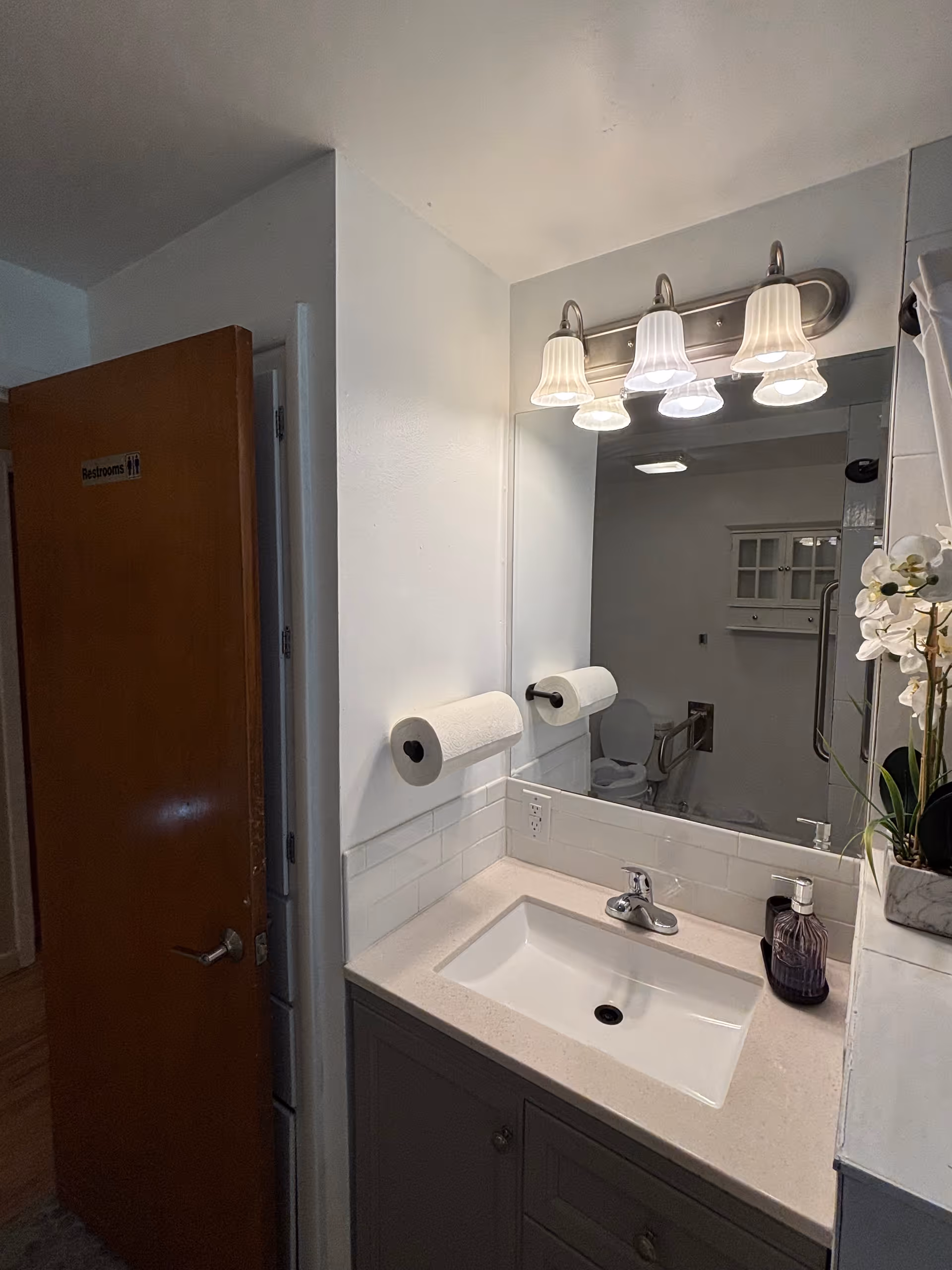 Bathroom vanity with sink, mirror, lights, toilet visible in reflection, orchid plant.