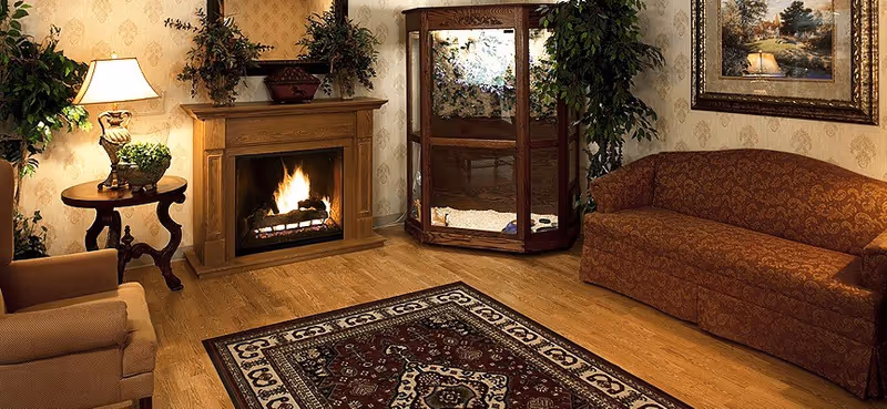 Cozy living room with fireplace, sofa, rug, and plants in a senior facility.