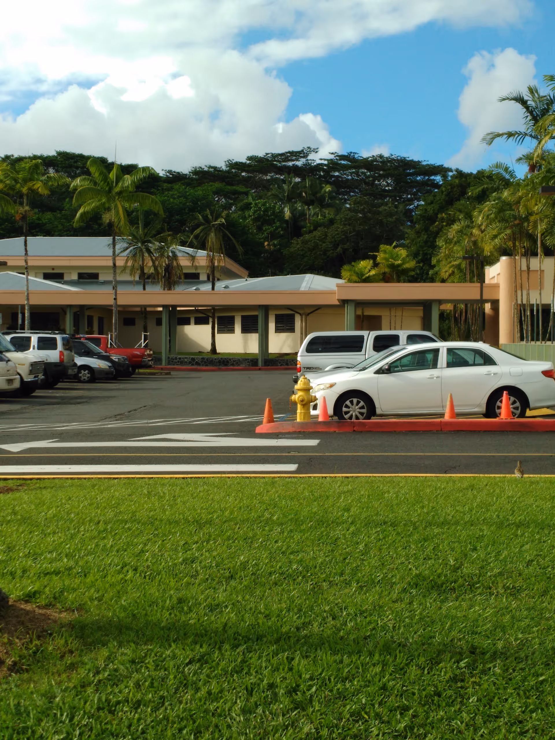 Exterior view of a medical center front with parked cars and palm trees.