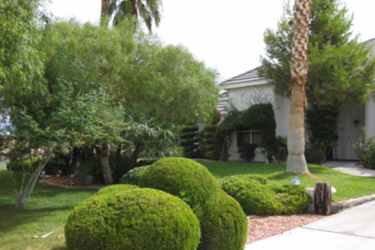 Well kept front yard of a senior living facility with trimmed bushes and palm trees.