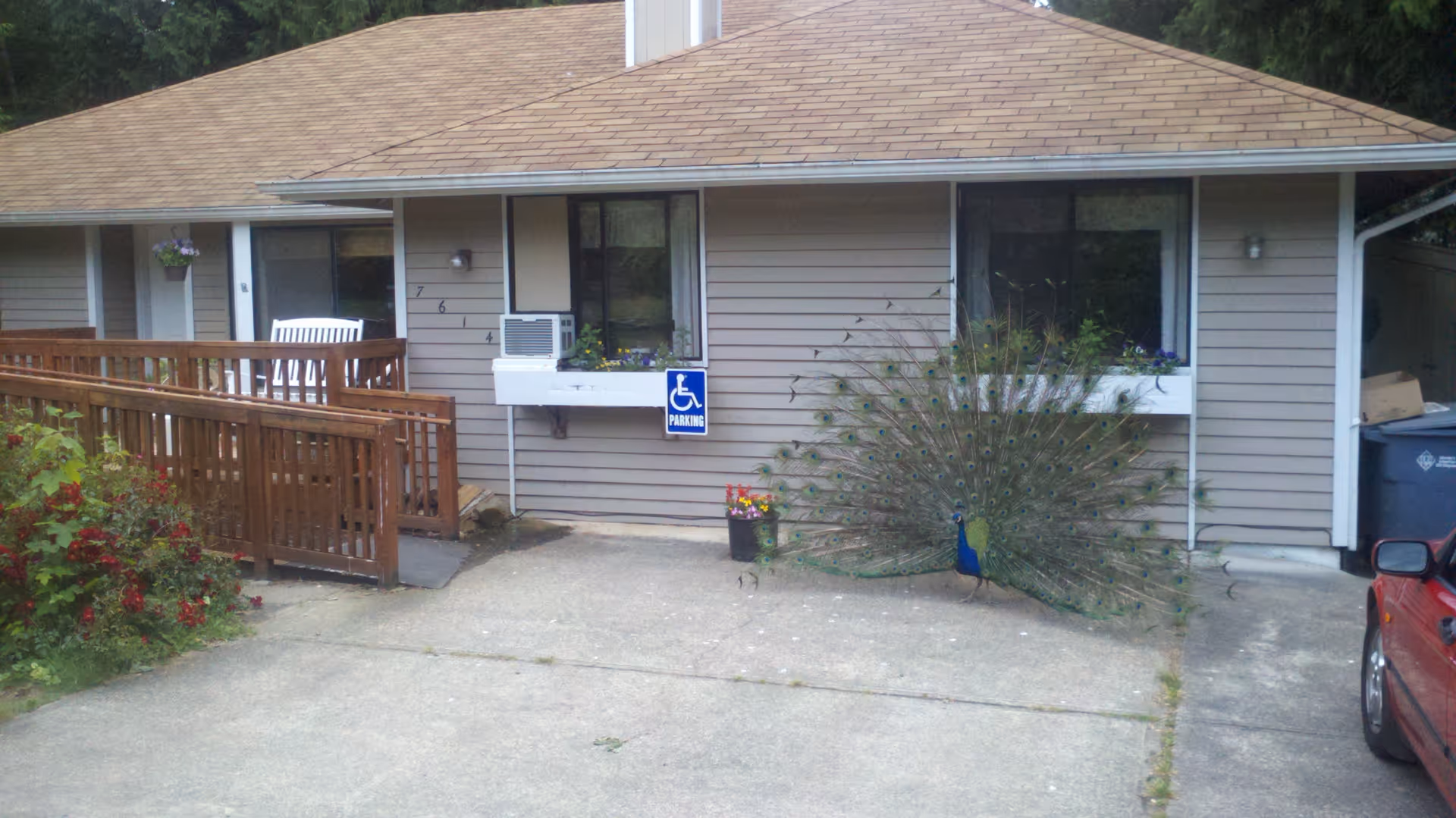 Single-story adult family home exterior with ramp, planters, and a peacock statue.